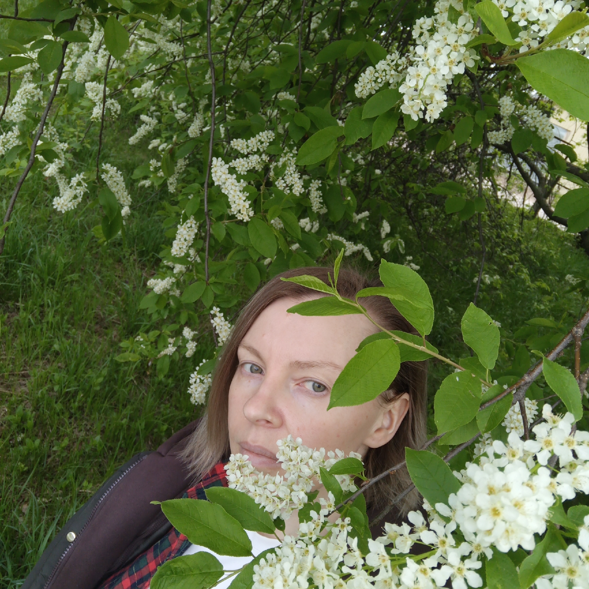 A woman with fair skin and light brown hair is centered in the frame, her face partially obscured by a flowering tree branch. The background is a mix of green grass and more branches with white blossoms. The location appears to be outdoors, possibly in a park or garden in Chaikovsky, Russia. The woman is wearing a dark-colored jacket over a red and green plaid shirt with a white undershirt.