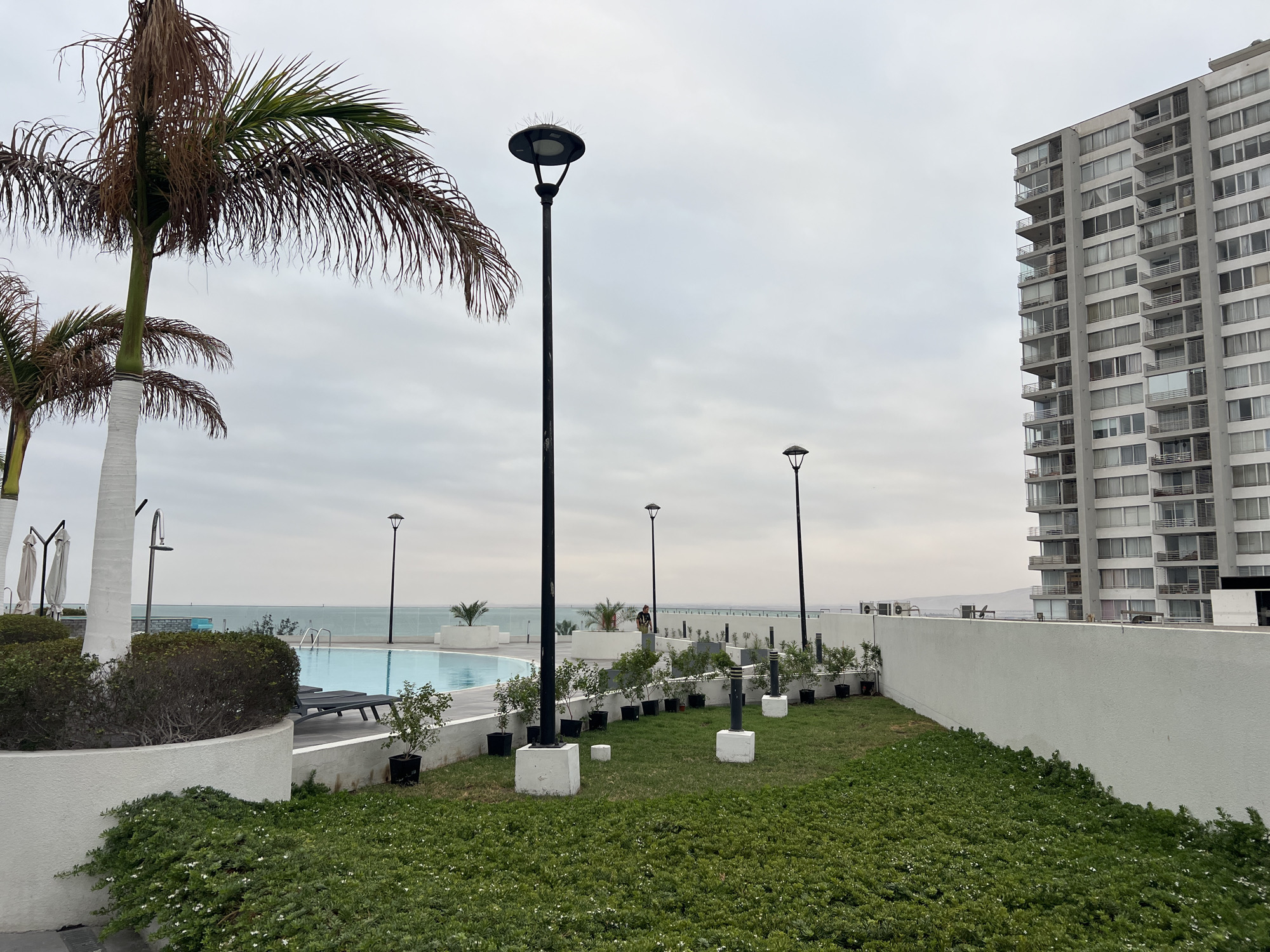 This is an exterior, eye-level, medium shot of a rooftop or balcony area of a residential building in Arica, Chile. The scene is overcast and temperate, with a clear view of the Pacific Ocean in the distance. On the left, a tall, grey, high-rise apartment building dominates the background. The building has numerous balconies with white railings and glass doors. In the foreground, a well-maintained garden area with lush green ground cover and small potted plants is visible. A swimming pool with blue water and lounge chairs is also present on the left side of the image. Several modern streetlights are positioned throughout the area, and a tall palm tree stands to the left of the frame. A person is visible in the mid-ground, standing near the edge of the pool area.