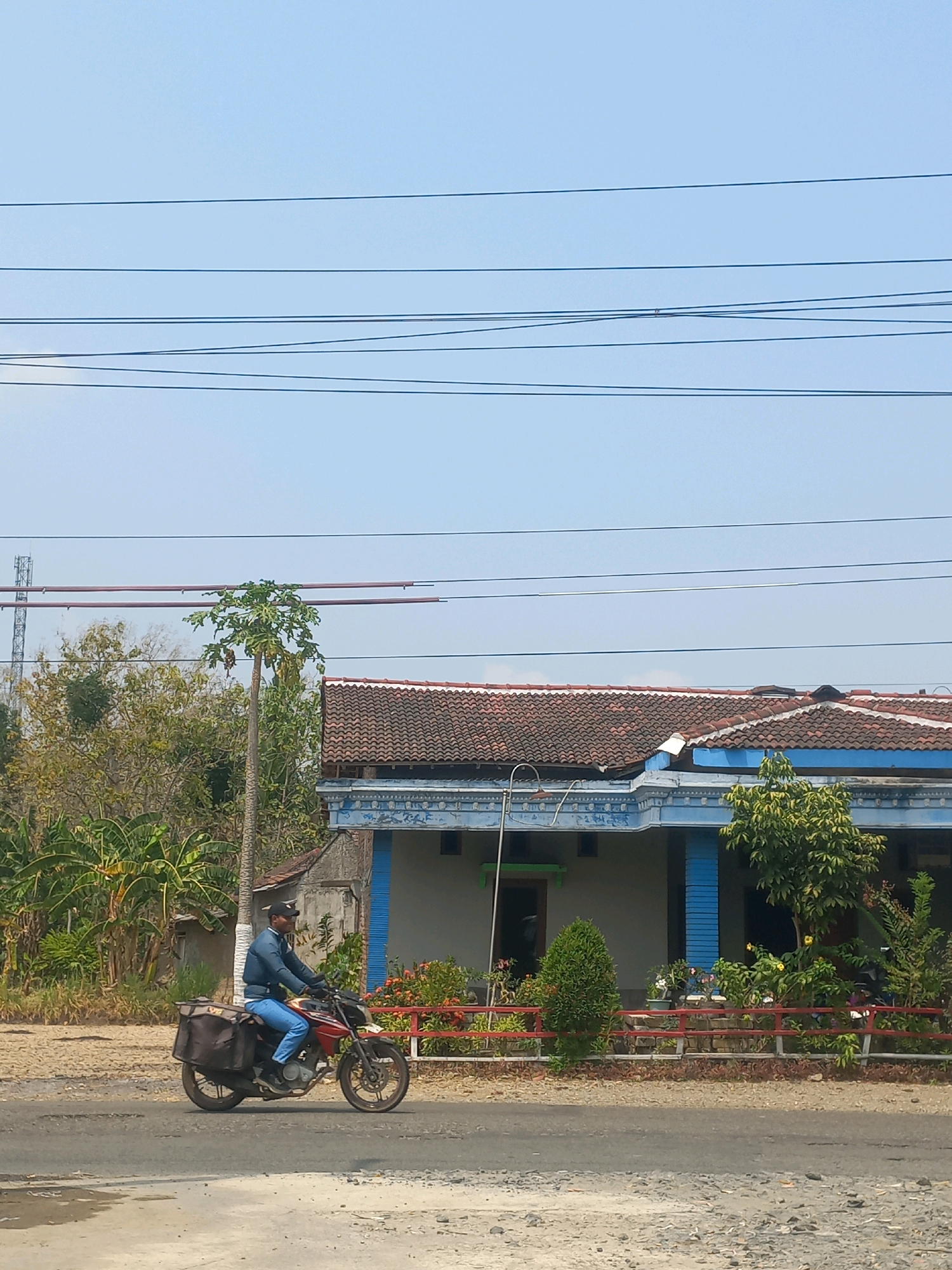 A man wearing a dark baseball cap, a blue jacket, and blue jeans is riding a red motorcycle with two black saddlebags on the rear. He is traveling on an asphalt road, which appears to be slightly wet in the foreground. The road is bordered by a dirt shoulder.
Behind the road and the rider is a modest single-story house with a tiled roof. The house has blue trim around the windows and a light-colored facade. A red fence runs in front of the house, separating it from the road. Lush green vegetation, including trees and flowering bushes, surrounds the house. A tall, slender tree with large leaves, possibly a papaya tree, stands to the left of the house.
In the background, more trees and vegetation are visible, along with utility poles and power lines stretching across the clear blue sky. The scene appears to be a rural or semi-rural area in Baturetno, Indonesia, given the architecture, vegetation, and overhead utility infrastructure. The lighting suggests it is daytime, likely with bright sunlight.