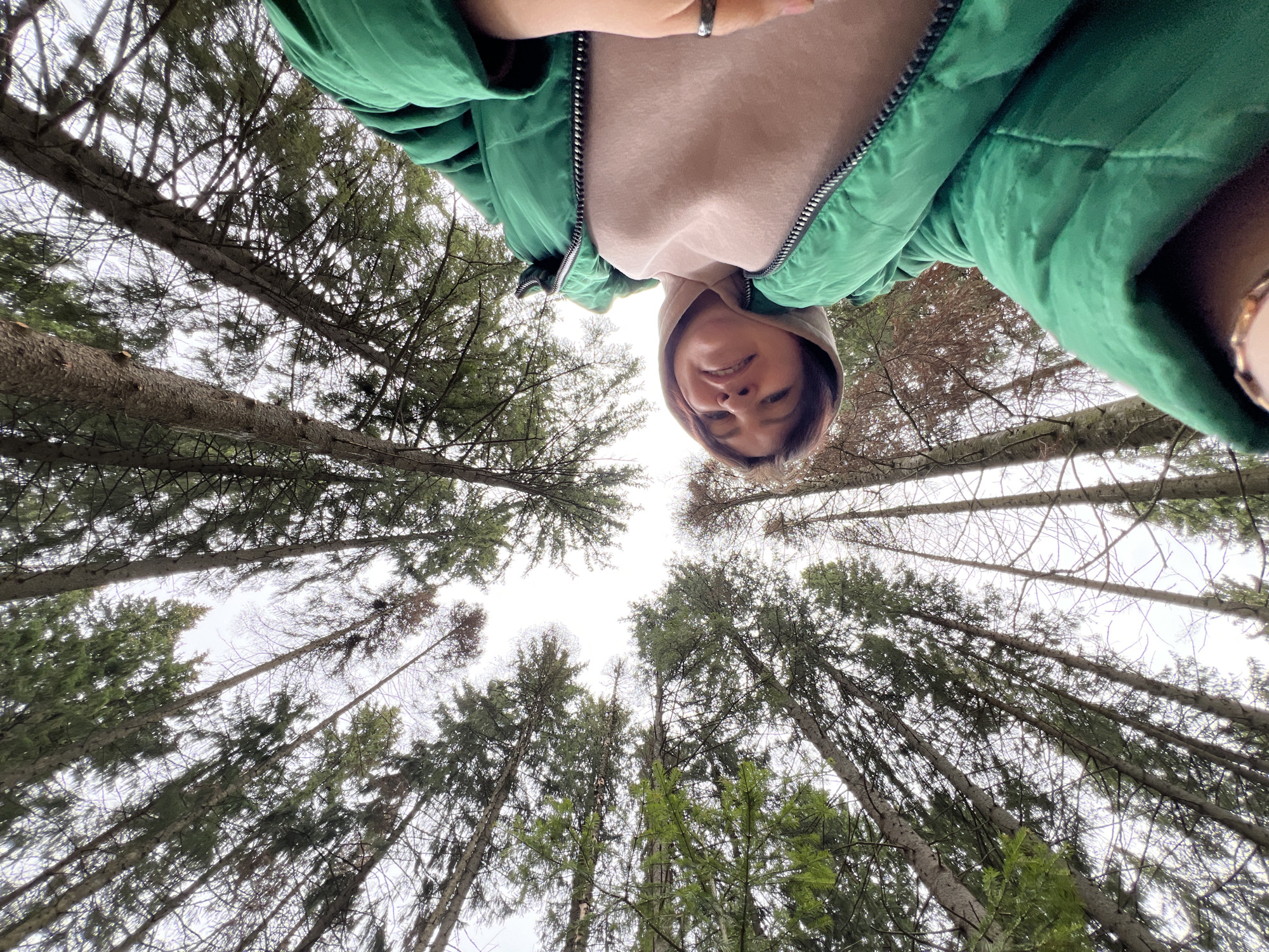 A person stands in a forest in Protasy, Russia, taking a selfie while looking upwards at the tall pine trees. The person is wearing a green jacket and a beige hooded sweatshirt. The trees are tall and densely packed, filling the sky. The weather appears to be overcast.