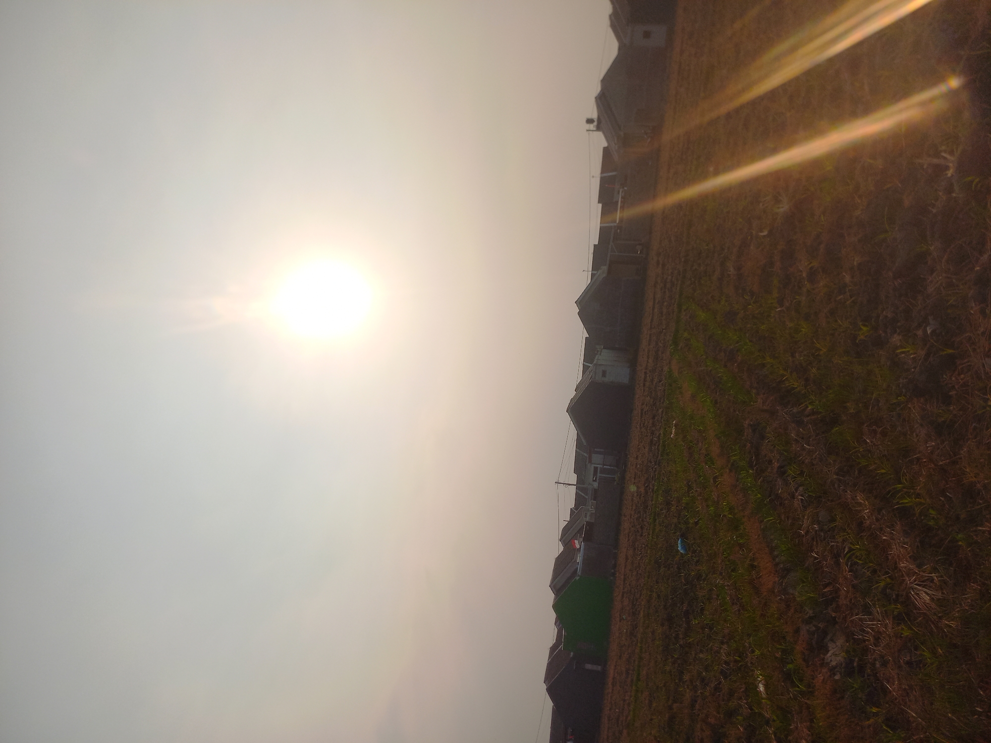 In Tamping Mojo, Indonesia, a sun-drenched, hazy sky dominates the upper half of the frame. The bright sun, a radiant orb, is positioned slightly left of center, emitting strong lens flares that streak diagonally across the image from the lower right. Below the sky, a row of low-rise houses with dark, sloped roofs stretches across the middle ground. One house in the center of the row stands out with its bright green facade. The foreground consists of a brown, agricultural field, appearing somewhat dry and possibly recently tilled, with sparse green shoots indicating early growth. The ground is uneven and textured with straw-like debris. The overall impression is that of a rural or semi-urban residential area on a bright, possibly warm, day.
