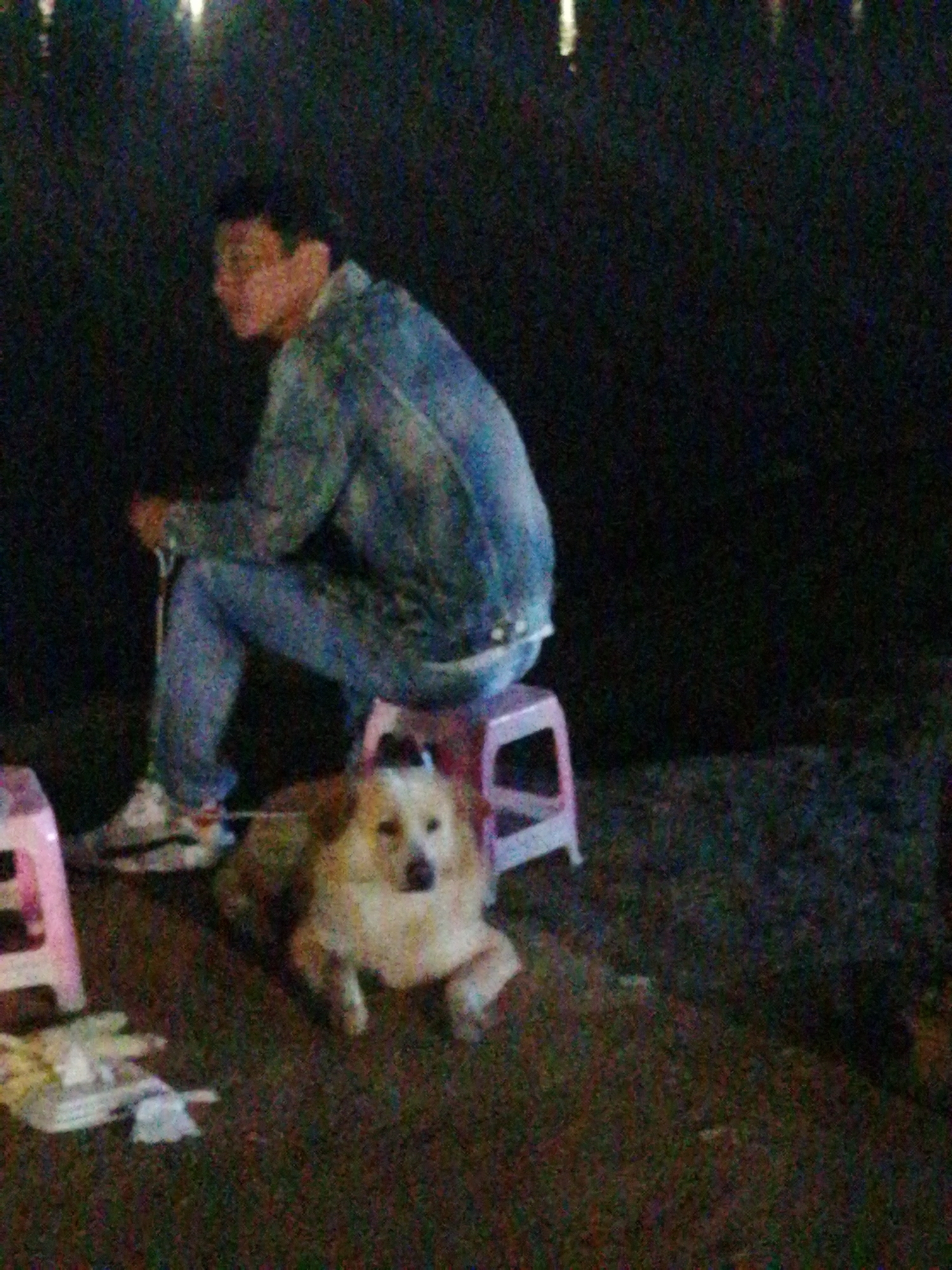 A person sits on a plastic stool in Da Lat, Vietnam, with a dog lying on the ground in front of them. The person, wearing a denim jacket and jeans, is looking down and away from the camera. The dog, a medium-sized, fluffy breed with light-colored fur, is lying with its head resting on the ground. A pink plastic stool is visible to the left of the dog. The background is dark and out of focus, suggesting it is nighttime. The ground appears to be dirt or pavement.