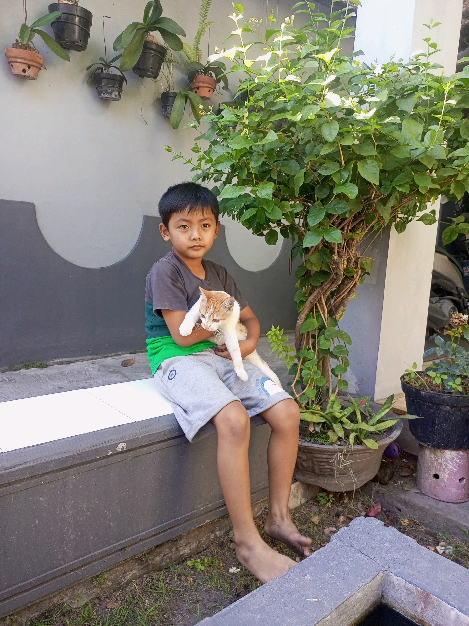 A young boy is sitting on a ledge holding a ginger and white cat. He is wearing a grey t-shirt with a green stripe and grey shorts. The boy has black hair and dark eyes. The cat is looking down. The ledge is white and grey and is in front of a grey wall. There are several potted plants on the wall behind the boy. To the right of the boy is a large green bush. The ground is covered in grass and dirt. The scene appears to be in a residential area in Ngasem, Indonesia.
