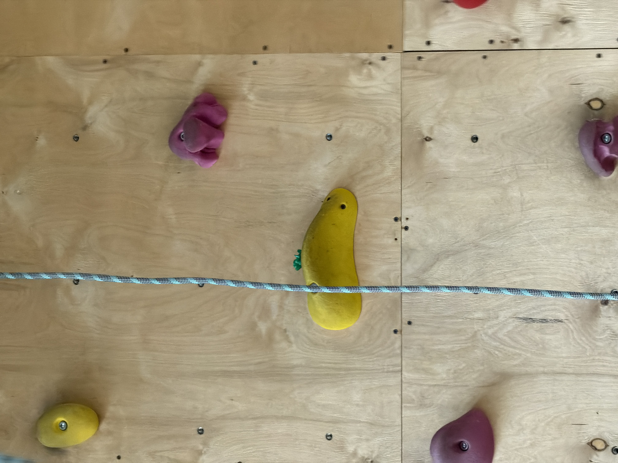 The image displays a close-up section of an indoor climbing wall, constructed from light-colored wooden plywood panels. The panels are fastened together with screws and exhibit natural wood grain patterns.
Various climbing holds are bolted onto the wooden surface. In the upper-left area, there is an irregularly shaped fuchsia-colored hold. Centered slightly lower, a large, elongated yellow hold, somewhat pear-shaped, is prominent, with a small green element visible near its top. A thick climbing rope, featuring a light blue and black speckled pattern, runs horizontally across the middle of the frame, passing in front of the large yellow hold.
Additional holds are visible around the edges: a small, oval yellow hold with a metal bolt head is in the bottom-left. On the right side, a purple hold is partially visible near the top, and a larger, teardrop-shaped dark purple hold with a bolt head is in the bottom-right. A small fragment of a red hold can be seen at the very top edge of the image. The scene is static, showing the equipment of a climbing facility. No people or text are visible.