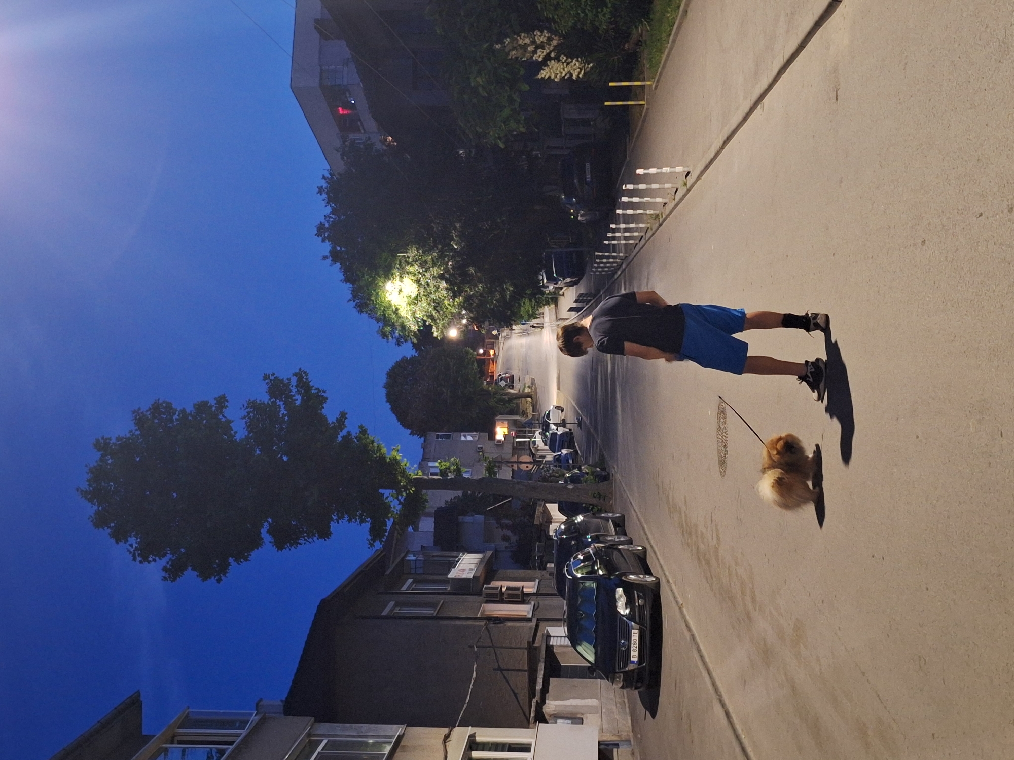 The image captures a street scene in Varna, Bulgaria, at dusk or night. A young person wearing a black t-shirt and blue shorts stands on the asphalt road, holding a leash attached to a small, fluffy, tan-colored dog. The dog is facing away from the viewer, looking down. In the background, several parked cars are visible along the side of the street, with buildings lining the opposite side. Streetlights illuminate parts of the scene, casting shadows and creating a nocturnal ambiance. The sky is a deep blue, indicating the time of day.