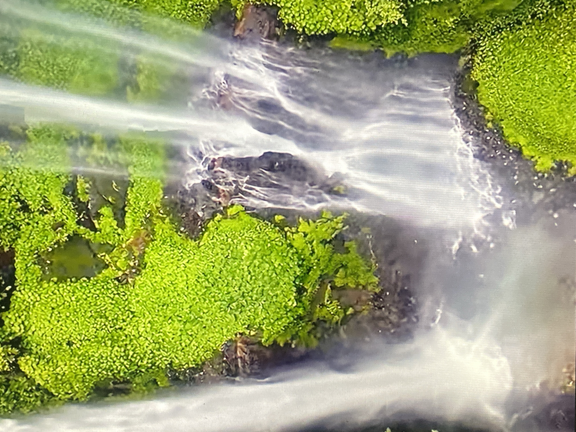 The image shows a close-up, aerial view of a lush waterfall cascading down rocky terrain covered in vibrant green moss and vegetation. The water appears white and misty as it falls, creating streaks and patterns against the dark, wet rocks. The dense, bright green flora creates a striking contrast with the water and the darker earth. The scene is dominated by natural elements and suggests a remote, untouched natural environment. There are no people, man-made structures, or any discernible city elements visible in the image, making it impossible to identify any specific location within Ado, Nigeria, or any other city.