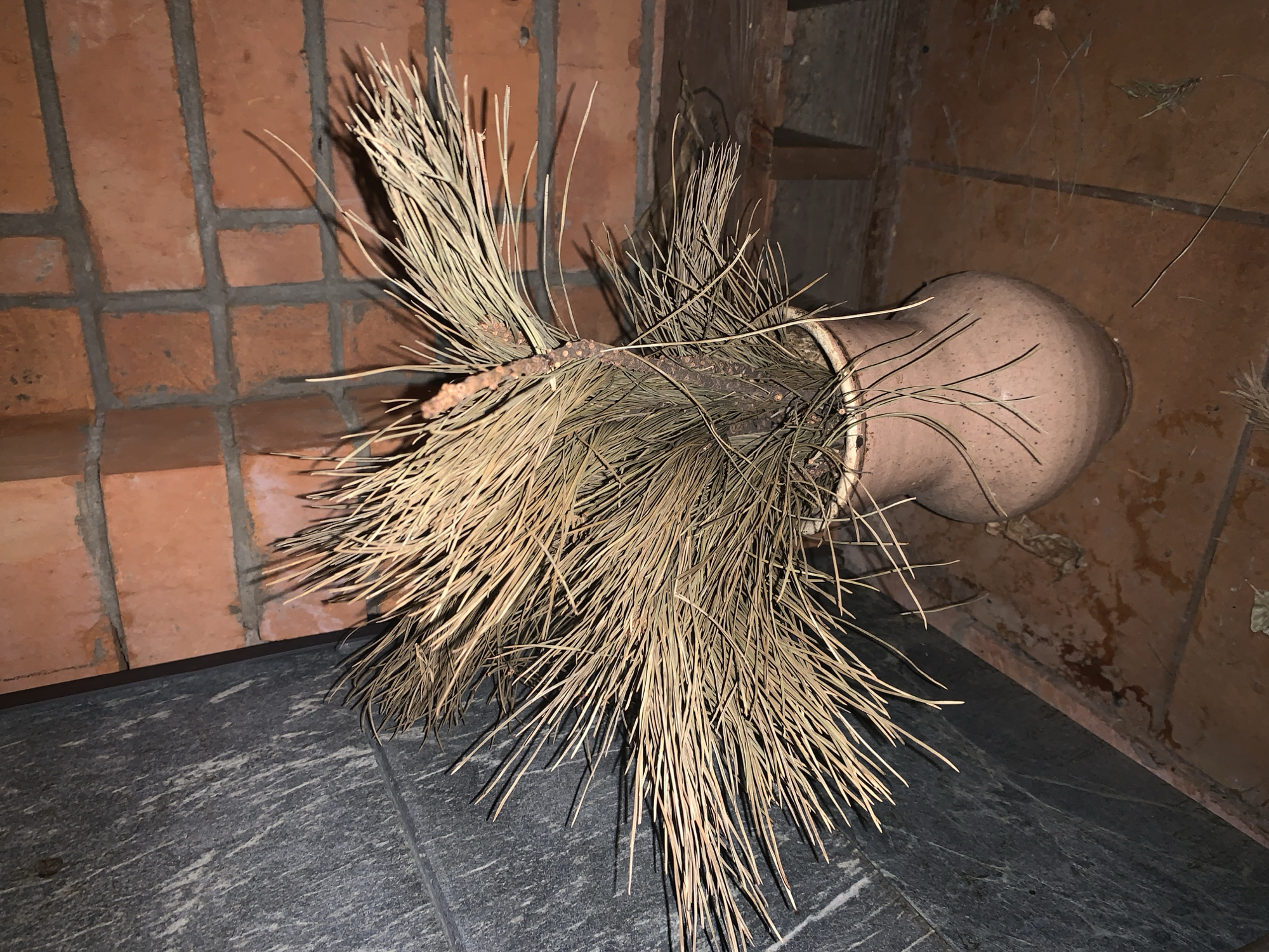 A dried pine branch arrangement sits in a terracotta vase on a tiled floor. The vase is positioned in front of a red brick wall and a dark gray tiled wall. The floor is made of reddish-brown tiles, with some debris scattered on it. The lighting is dim, suggesting an indoor setting, possibly a home or a public space. The overall scene conveys a rustic and slightly weathered aesthetic. The location is Lindo-Pustyn' (Kantaurovskii S/S), Russia.