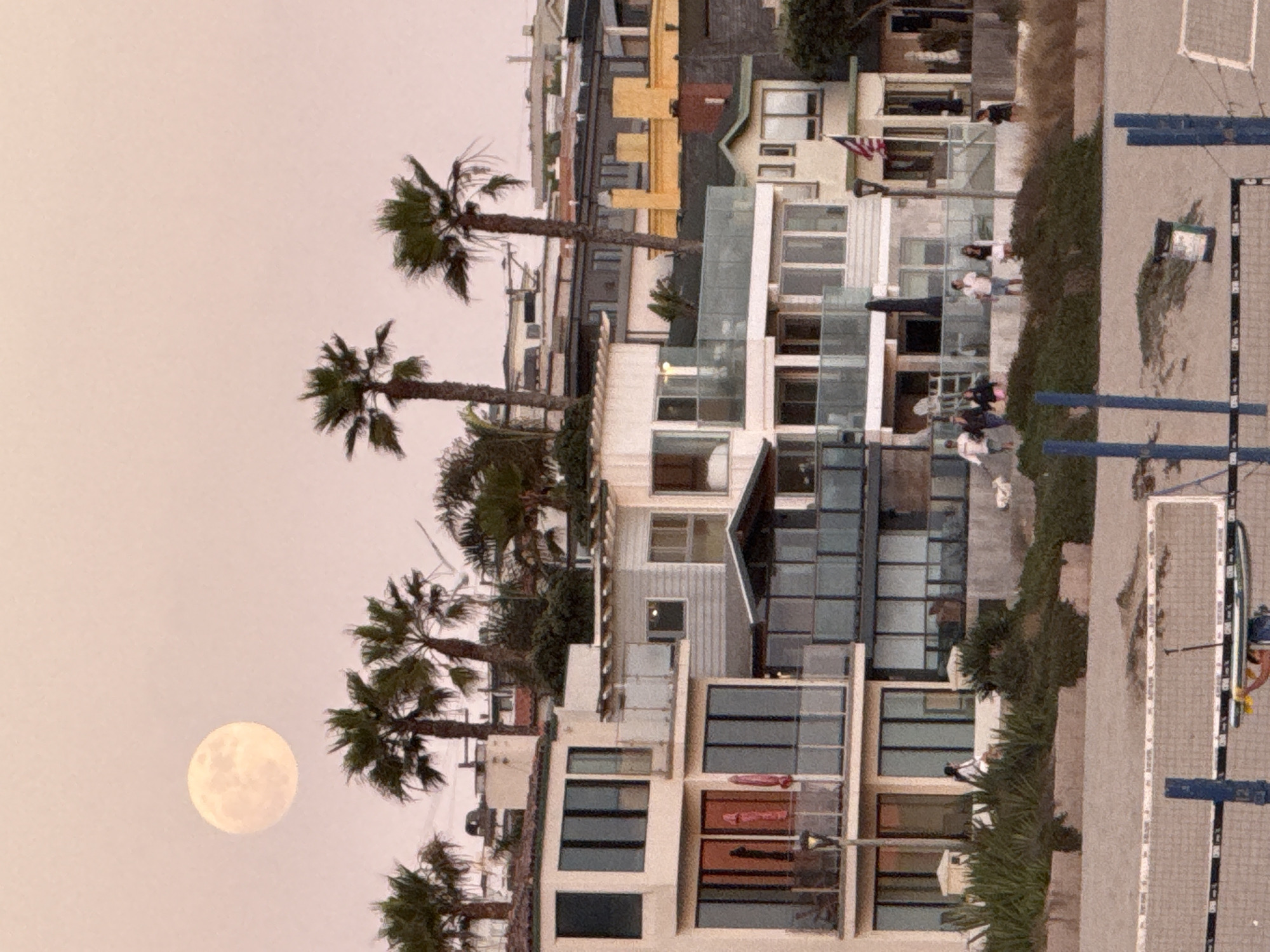 This image captures a twilight scene in Manhattan Beach, California, USA, focusing on a row of multi-story beach houses. A large, pale moon is visible in the upper left quadrant of the sky, appearing soft-edged and slightly hazy against a pale pinkish-orange sky. Several palm trees, characteristic of the coastal environment, are scattered throughout the frame, with their fronds silhouetted against the sky.
The beach houses exhibit a modern architectural style, featuring balconies with glass railings, large windows, and a mix of light-colored stucco and siding. Some houses have rooftop patios or balconies. There are visible elements of outdoor living, such as patio furniture, umbrellas, and vegetation like bushes and grasses.
In the foreground, a beach volleyball net is set up, suggesting recreational activity. Several people are visible on the elevated walkway or terraces of the beach houses, some walking, others standing and conversing. One person is seen near the volleyball net, holding a paddleboard. The overall impression is a serene, coastal residential setting at dusk.