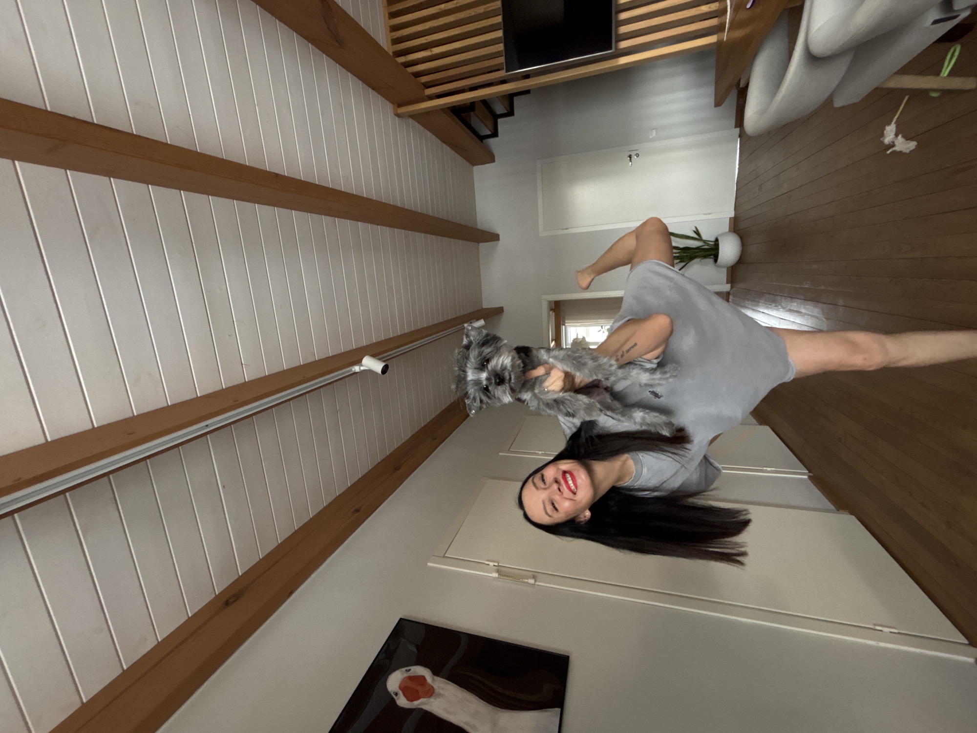 A person is holding a gray dog in an indoor setting. The person is fair-skinned with dark hair and is wearing a gray t-shirt. The dog appears to be a Schnauzer. The background includes a wall with a painting, a door, and a ceiling with exposed beams. The image is taken with a wide-angle lens, creating a slightly distorted perspective. The location and city cannot be determined from this image.