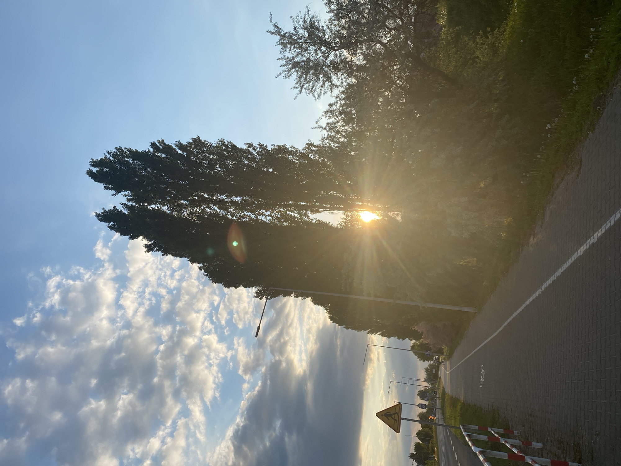 The image shows a roadside view in Buk, Poland. A paved bicycle path with a white line marking runs alongside a road. There is a yellow pedestrian crossing sign on the left side of the road, near a red and white barrier. A tall, thin tree stands with the sun shining behind it, creating a lens flare. The sky is partially cloudy with a mix of blue sky and gray clouds. Additional trees line the opposite side of the road. Streetlights are spaced along the roadside.