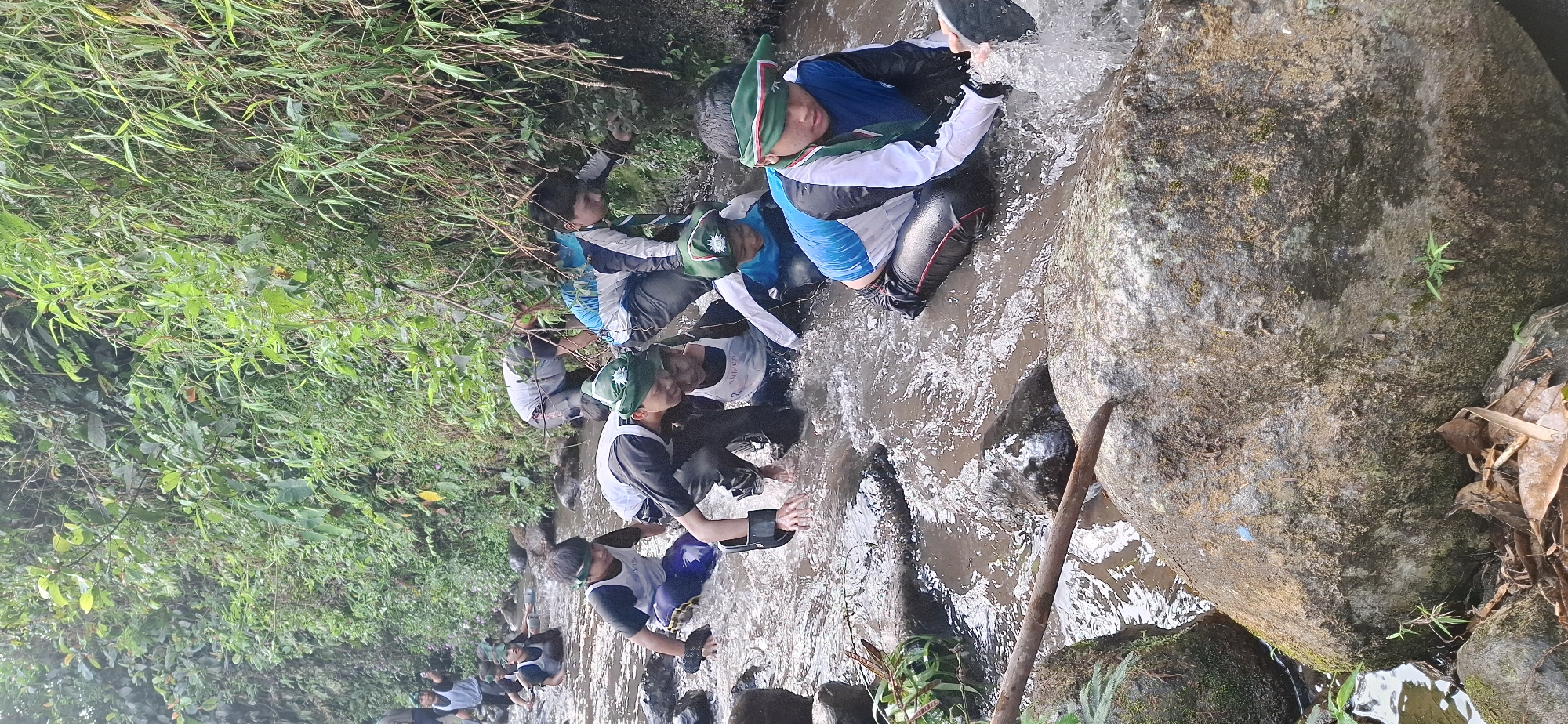 In Puntukrejo, Indonesia, a group of young scouts, likely on a trek or training exercise, are navigating a shallow, rocky stream. The water is murky and the stream bed is uneven, with several large, moss-covered boulders visible. The scouts, dressed in uniforms that include dark pants, white tops with blue and black accents, and distinctive green hats with emblems, are wading through the water. Some are bent over, hands touching the water or the stream bed for balance, while others are more upright. The environment is lush and green, with dense foliage and bamboo-like plants lining the banks of the stream. Sunlight filters through the leaves, creating dappled lighting on the water and the scouts. The overall scene depicts a challenging outdoor activity in a natural, wooded environment.