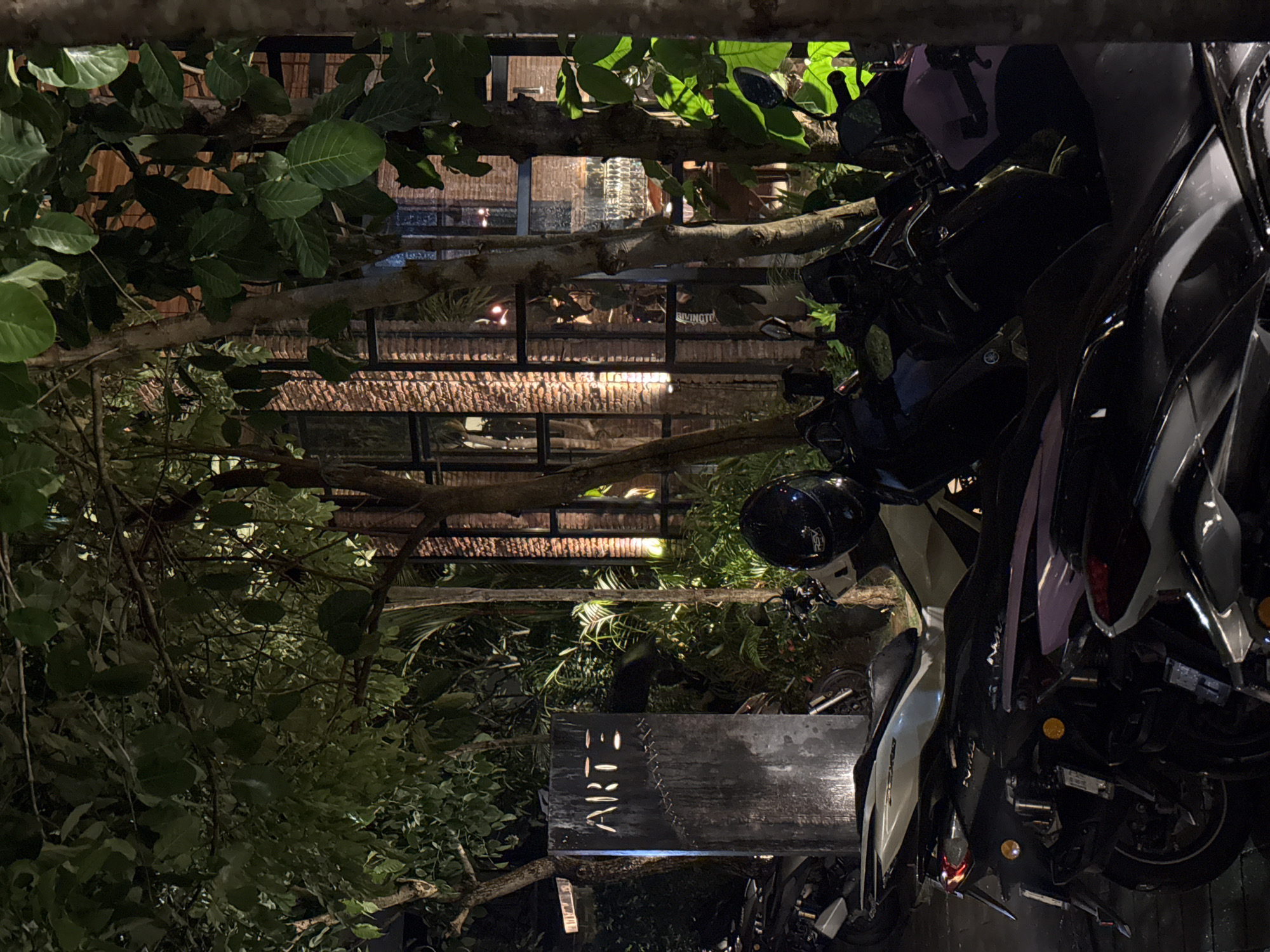 The image captures an outdoor or semi-outdoor scene at night, characterized by lush green foliage and parked motorcycles. On the right side of the frame, several motorcycles are parked, primarily in dark colors like black and dark grey, with some featuring white or silver accents. Their glossy surfaces subtly reflect the dim ambient light.
Dominating the left and upper portions of the image are dense, verdant trees and branches, their leaves illuminated by unseen light sources, casting a deep green hue.
In the mid-ground, partially visible through the foliage and branches, is a dark, rustic wooden sign. The word "ARTE" is carved into it, illuminated from within or backlit, appearing in bright, stylized lettering. To the right of the text, decorative stitching-like patterns are carved into the wood.
Behind the trees and the sign, a building is visible. It features large glass windows and a facade with a textured, brick-like appearance, suggesting an older or industrially styled architecture. Interior lights from the building glow softly, indicating the time of day is night or late evening. The combination of dense greenery, the stylish sign, and the building suggests a cafe, restaurant, or an artistic venue.