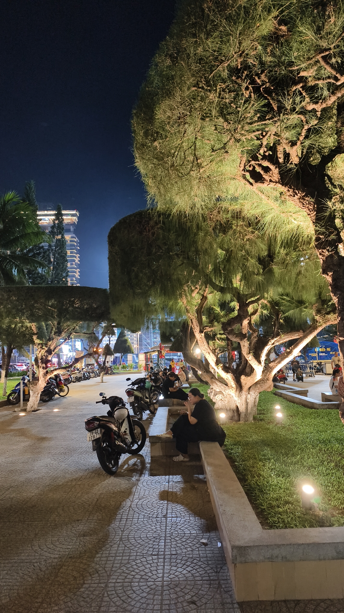 In a paved park area at night, a person is seated on a concrete bench, facing away from the camera. The person is wearing dark clothing and white shoes. Next to the bench, a motorcycle is parked on the paved area. The park features a large, illuminated tree with thick, gnarled branches and dense, hanging foliage. Beyond the tree, a grassy area is lit by ground-level spotlights. In the background, there are more motorcycles parked in rows. A modern building with many illuminated windows is visible in the distance, set against a dark night sky. The scene appears to be a public space in a city at nighttime, likely a park or promenade, with people and vehicles present.