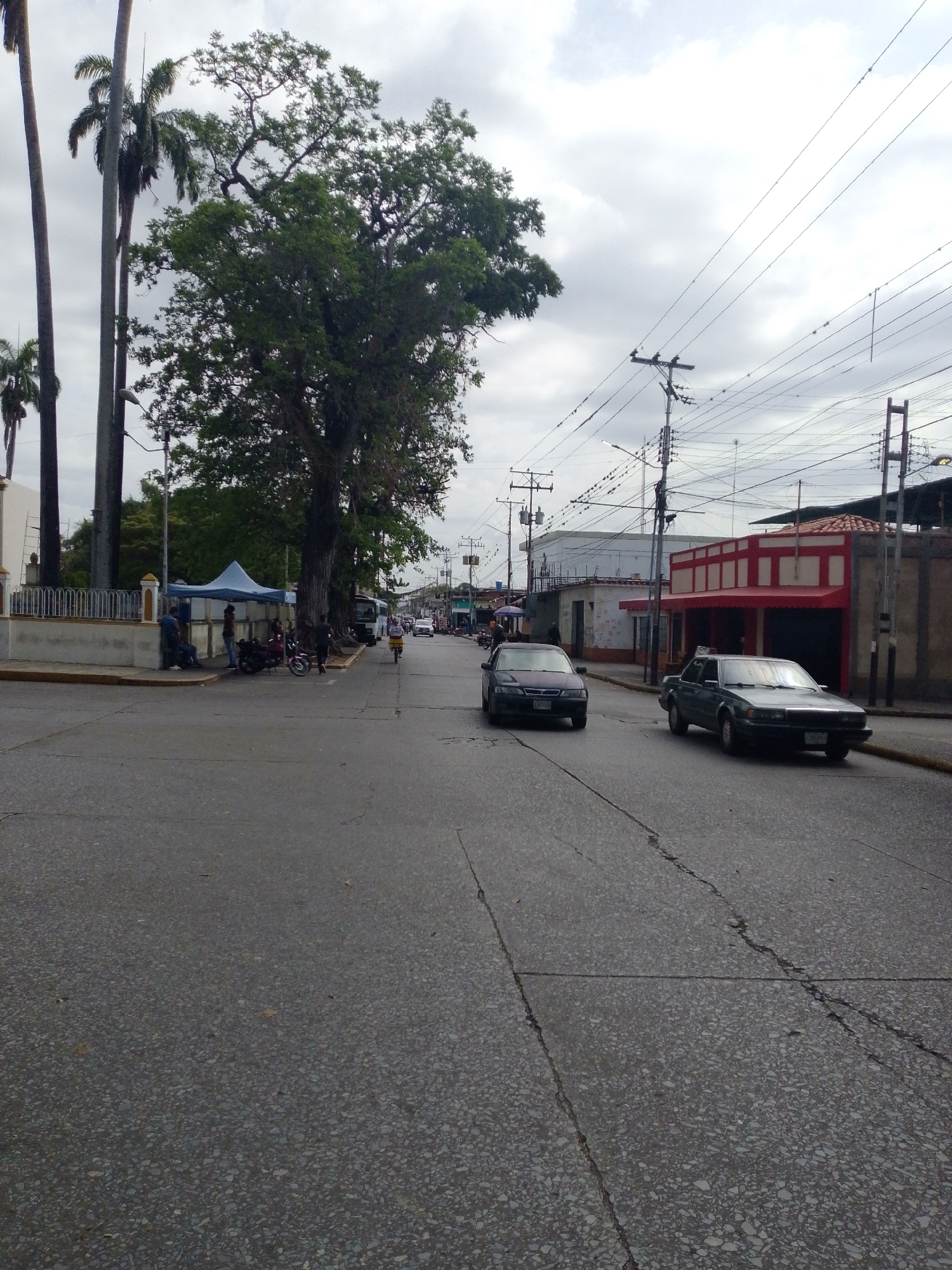 This media file captures an overcast street scene in Tinaquillo, Venezuela, depicting daily life. The foreground features an asphalt road, exhibiting cracks and exposed aggregate.
On the left side of the frame, towering palm trees with slender trunks and a large, full-canopied deciduous tree dominate the view. Below them, a white, low-walled structure with a metal fence borders a sidewalk. Several people are gathered here, some seated under a blue canopy or tent, while others stand nearby. A motorcycle is parked close to the gathering. Further down the road, a person on a bicycle rides away from the camera.
The street itself is occupied by vehicles. A dark sedan approaches from the background on the left lane, and a green or grey sedan is in the right lane, moving away. A white bus is visible in the distance, further along the road.
The right side of the image features a series of modest buildings lining the street. One prominent structure has a red-painted facade with a red tiled roof, contrasting with plainer concrete or white-walled buildings adjacent to it.
Above the street, a complex network of overhead utility wires crisscrosses the sky, supported by numerous wooden and concrete poles. The sky is predominantly overcast with grey clouds, indicating diffuse lighting and no direct sunlight. The scene appears to be a typical daytime street setting in a town or small city, characterized by tropical vegetation and local urban infrastructure. No visible text is clearly legible on signs or vehicles.