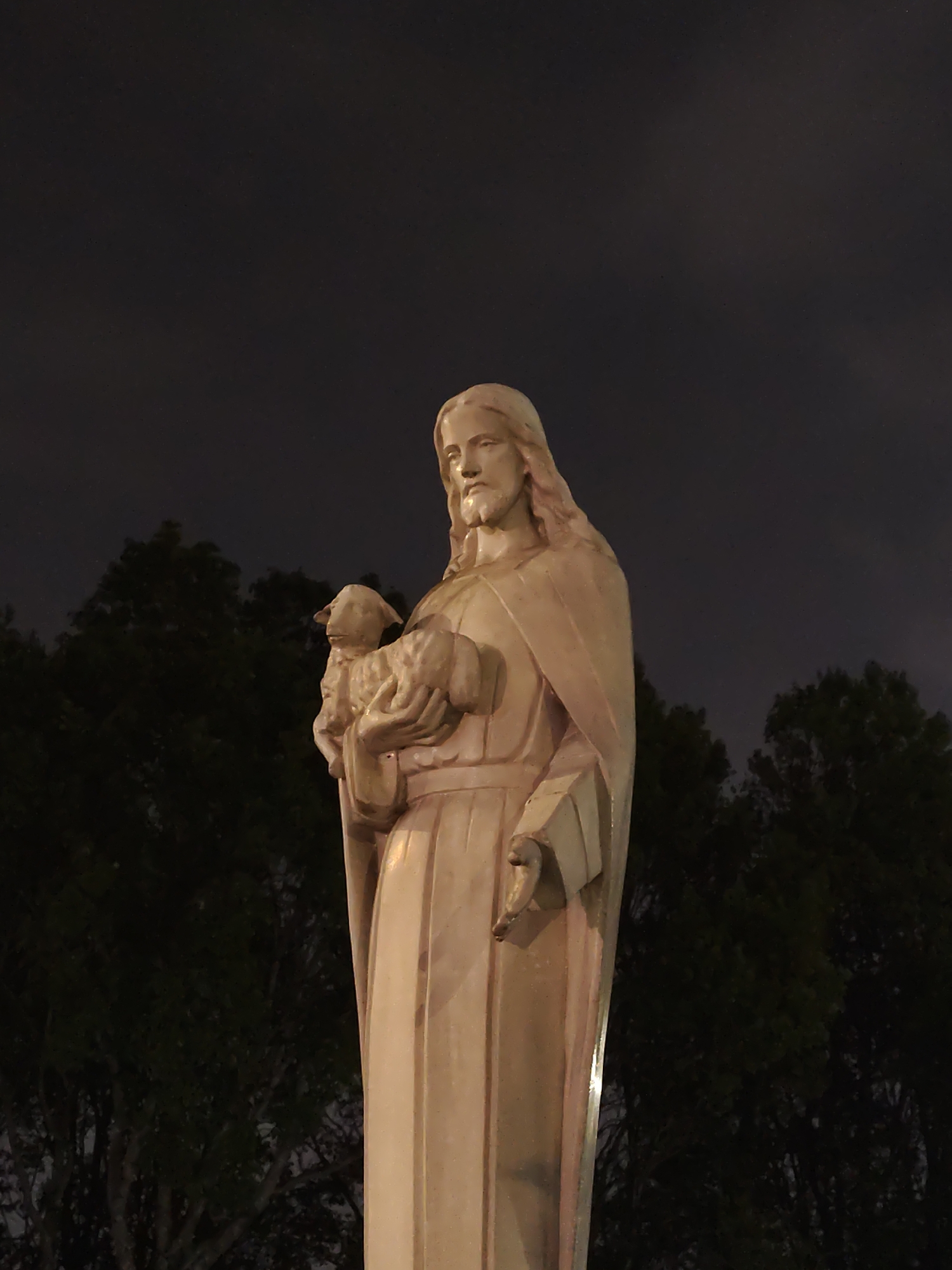 The image is a medium shot of a statue depicting Jesus Christ holding a lamb. The statue is made of a light-colored material, possibly marble or a similar stone. Jesus is depicted with long hair, a beard, and flowing robes. He cradles the lamb in his arms.
The background consists of dark green trees and a night sky. The lighting suggests the scene is illuminated by artificial lights, casting shadows and highlighting the statue.
While the exact location is difficult to determine from the image alone, the statue's presence suggests it may be situated in a religious setting, such as a churchyard, a garden, or a public square. If this is in Da Lat, Vietnam, the architecture is likely a Roman Catholic church or monument in the city.