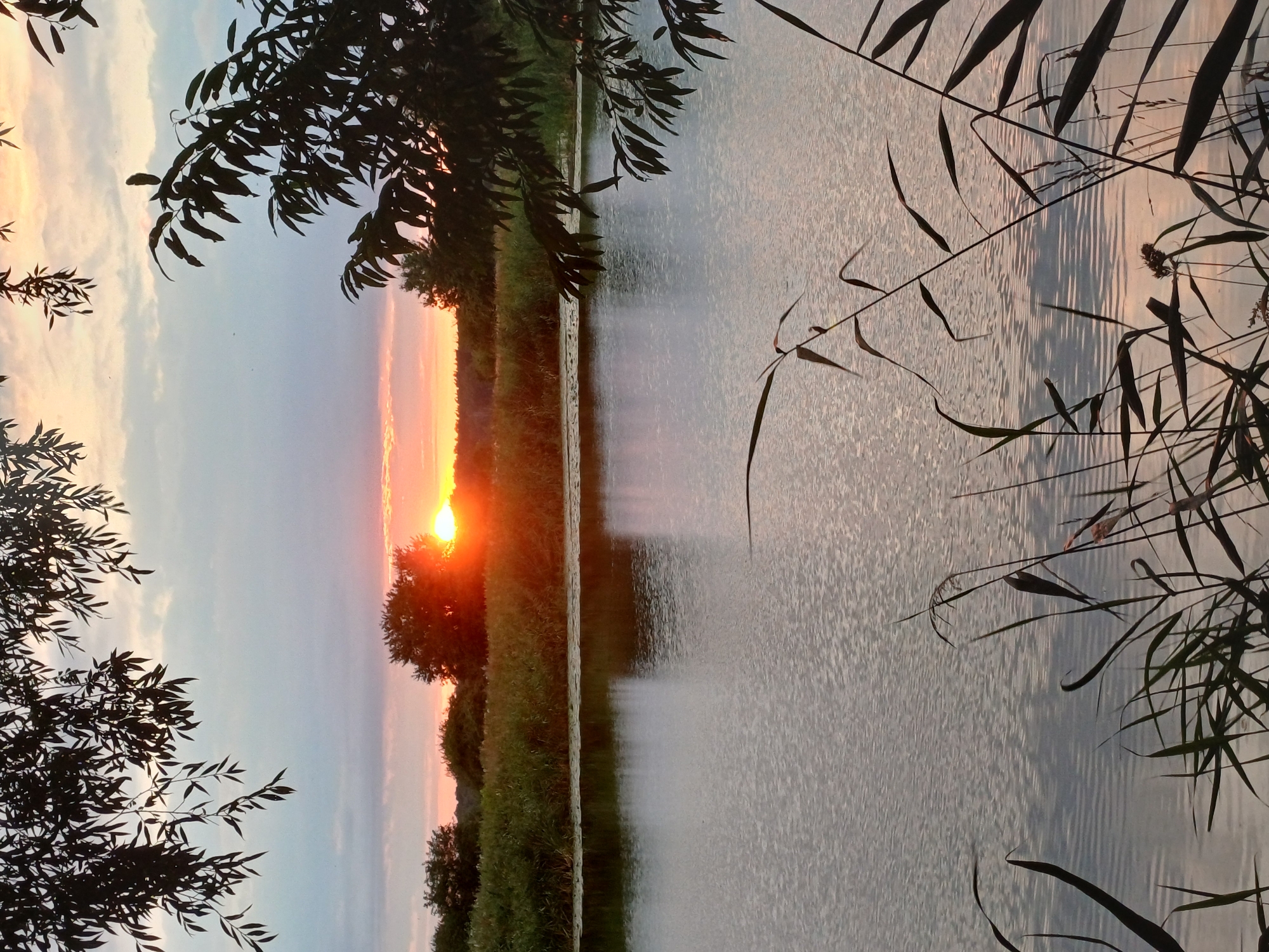 A serene natural scene unfolds as the sun sets over a calm body of water, likely a lake or wide river, in Riga, Latvia. The sky, painted with soft hues of orange, pink, and blue, reflects gently on the water's surface. Silhouetted against the vibrant sky are the outlines of trees and a dense line of reeds or tall grass that borders the water. In the foreground, the dark silhouettes of leaves from overhanging trees and reeds from the bank frame the view. The water itself is rippled, creating a shimmering effect that catches the fading light. The overall impression is one of tranquility and the quiet beauty of nature at dusk, away from the urban bustle.