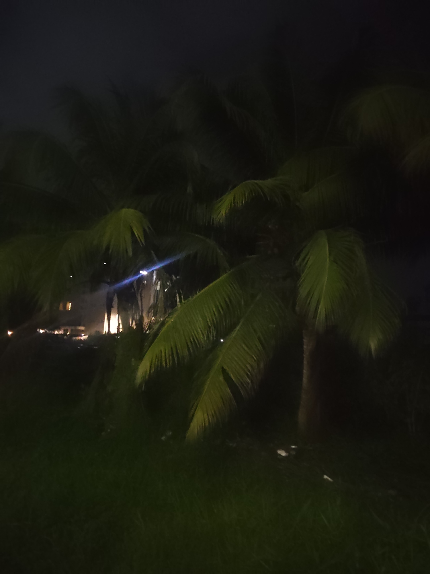 The image depicts a nighttime scene with palm trees in the foreground, their fronds illuminated by an unseen light source. In the background, there appears to be a building with lit windows and some figures standing near it. A bright light beam, possibly from a flashlight or camera flash, cuts across the image, illuminating smoke or mist. The ground is covered in grass. The scene is dimly lit, creating a somewhat mysterious atmosphere. The location is identified as Ilado, Nigeria.