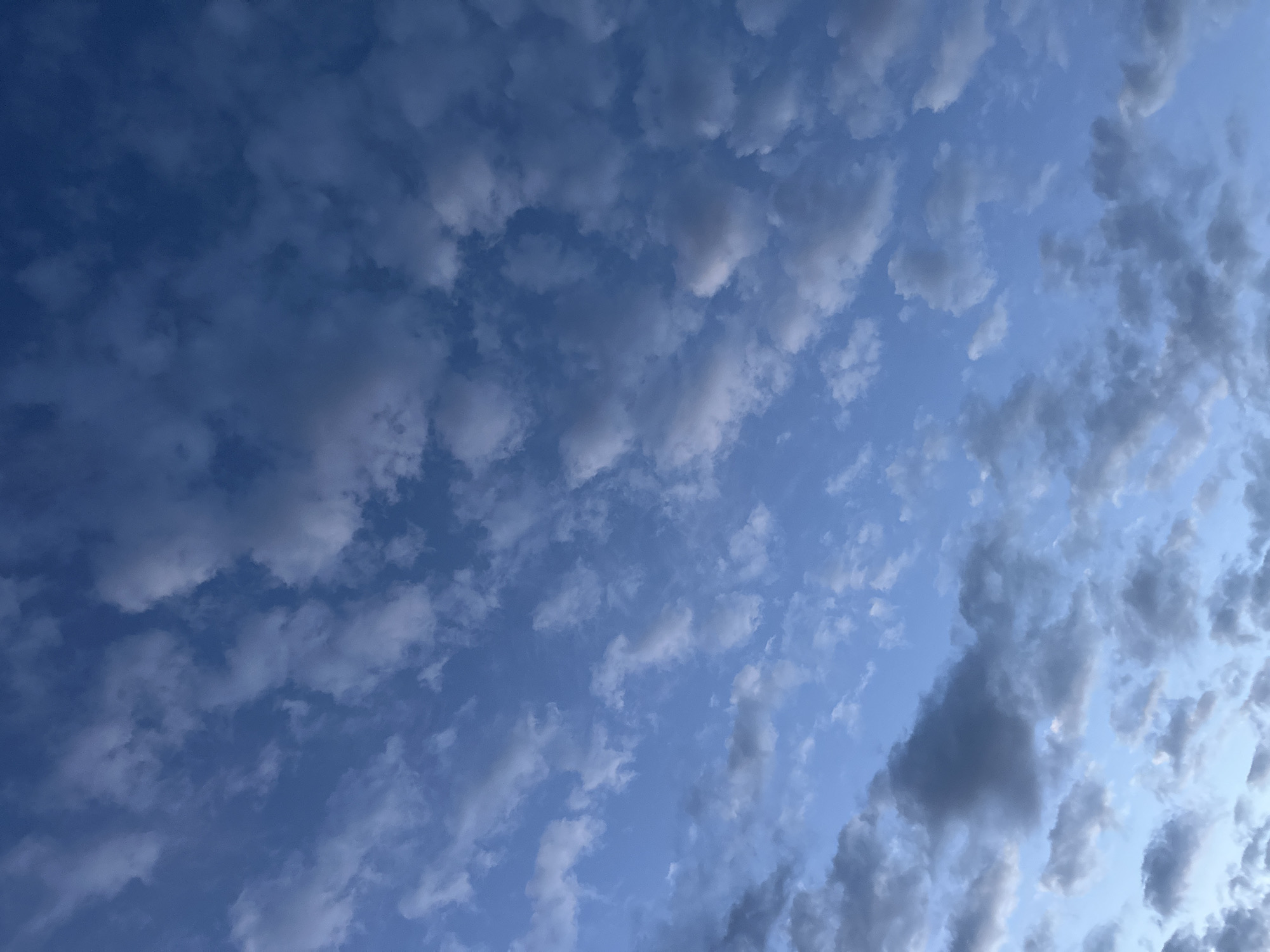 The image is a close-up, full-frame shot of a blue sky filled with scattered, textured clouds. The clouds vary in size and density, with some appearing wispy and light, while others are thicker and darker, suggesting they may be carrying moisture. The lighting suggests it might be either early morning or late afternoon, as the blue of the sky is deep and the clouds have subtle shading. There are no discernible structures, people, or objects in the frame, just the vast expanse of the sky. The image is devoid of any context that would indicate a specific location within a city or any particular environment beyond the atmosphere.