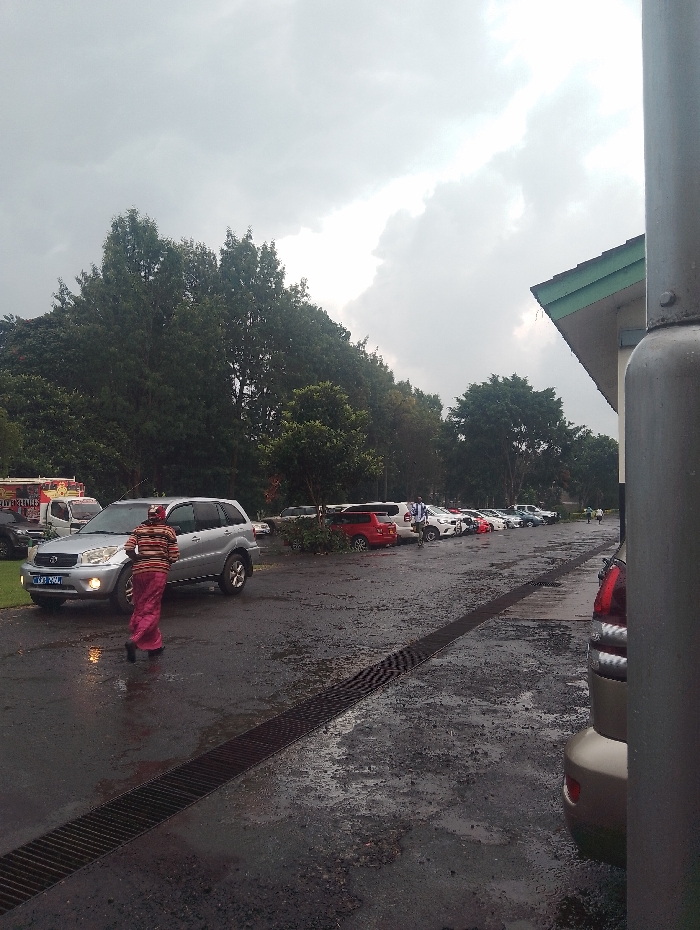 The image captures an outdoor parking area in Gitaru, Kenya, under a heavily overcast sky, suggesting either recent rain or a very cloudy day. The asphalt ground is visibly wet and features a long, dark metal drain grate running diagonally from the lower left to the center midground.
In the midground, a person wearing a striped top (red, orange, black) and a long pink or maroon skirt/wrapper with a matching head covering walks away from the camera, heading towards a silver Toyota RAV4 SUV. The SUV has its headlights illuminated, and its Kenyan license plate, "KCK 240J," is clearly visible on the front.
Further into the background, numerous other vehicles of various makes and colors, including white, red, and beige, are parked in rows. Several indistinct figures can be seen near these parked cars. The background is dominated by dense green trees and lush foliage. On the far right, a section of a building with a green-edged roof is partially visible, alongside a dark grey pole that obscures part of a beige car. On the far left in the distance, a white truck or van is discernible, with some faint, illegible text on its side. The overall scene conveys a muted, possibly damp atmosphere.