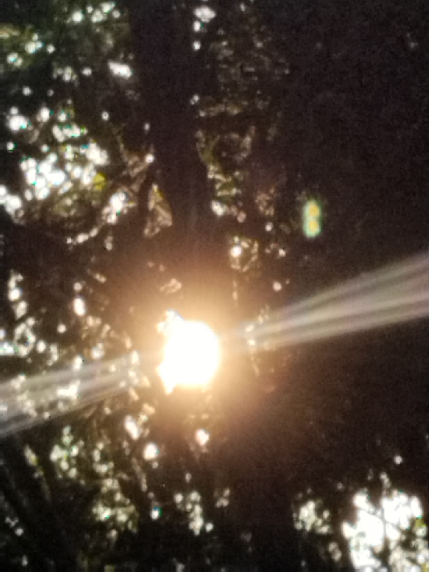 The image captures a close-up view of sunlight filtering through the dark foliage of trees. The sun appears as a bright, glowing orb, with visible light rays extending outwards, creating a lens flare effect. The leaves and branches are largely silhouetted against the bright light, with some areas of dappled sunlight illuminating the green of the leaves. The overall impression is one of natural light in a wooded environment.