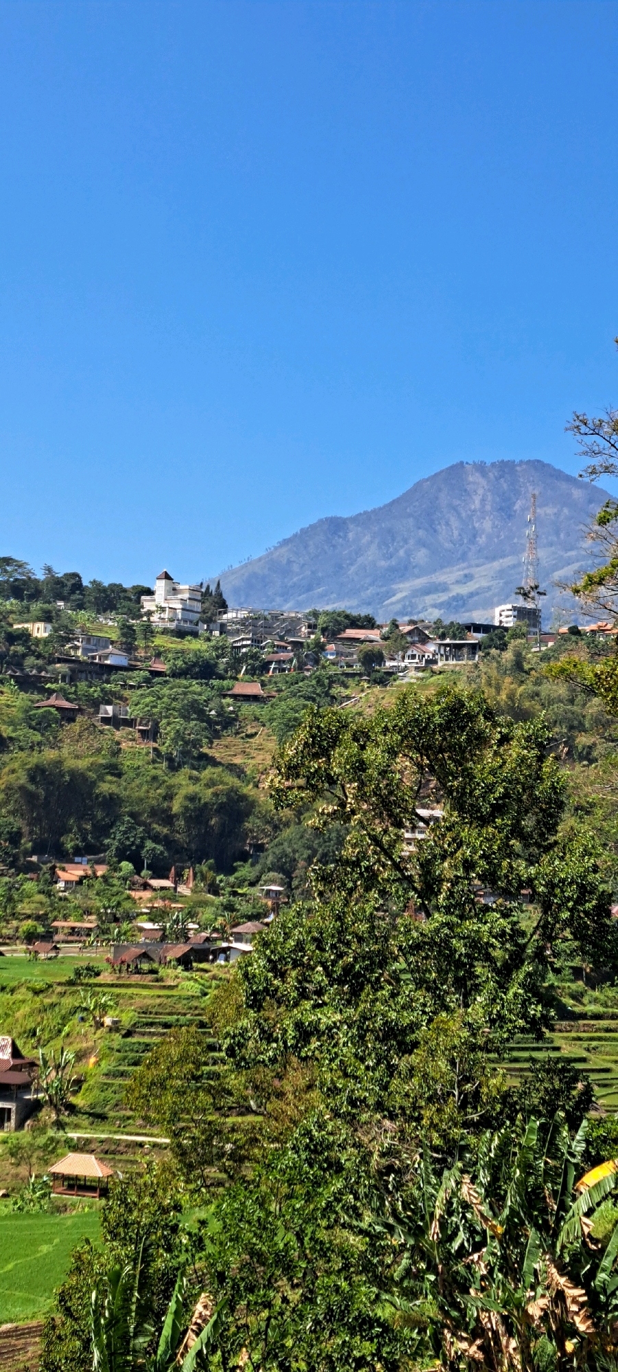 The image depicts a mountainous landscape with a village nestled on its slopes, under a clear blue sky. The village is characterized by terraced fields and numerous houses with red-tiled roofs, interspersed with lush green trees. A prominent white building with a brown roof stands out on the upper slope. In the distance, a large mountain dominates the horizon, and a tall communication tower is visible on its side. The foreground features dense foliage, including large trees and banana plants, suggesting a tropical environment. The scene evokes a sense of rural tranquility and natural beauty.