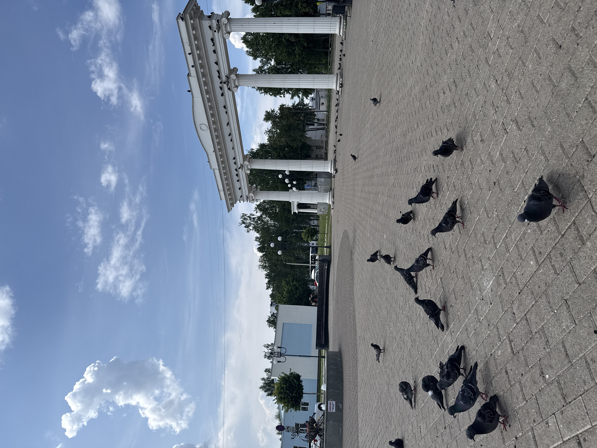 The image captures an outdoor scene in a city square, likely during the day, under a partly cloudy sky. The foreground is dominated by a paved area with a herringbone brick pattern. Numerous pigeons are scattered across the square, some walking, some standing, and a few perched.
In the background, a grand white architectural structure with large columns and an ornate top is visible. This structure appears to be an archway or a colonnade, with many pigeons perched on its upper surfaces and columns. Beyond the structure, a line of trees forms a backdrop, with some buildings visible between them. To the left, there is a modern building with a blue facade and a white section, a lamppost, and a circular fountain with some foliage and what appears to be a sign. A car and a bicycle are also visible near the fountain.
The overall impression is that of a public space, possibly a park or a plaza, populated by pigeons and showcasing classical architecture. The lighting suggests it is daytime, with shadows cast by the pigeons. The scene is devoid of human activity, except for a few blurred figures in the distance near the fountain.