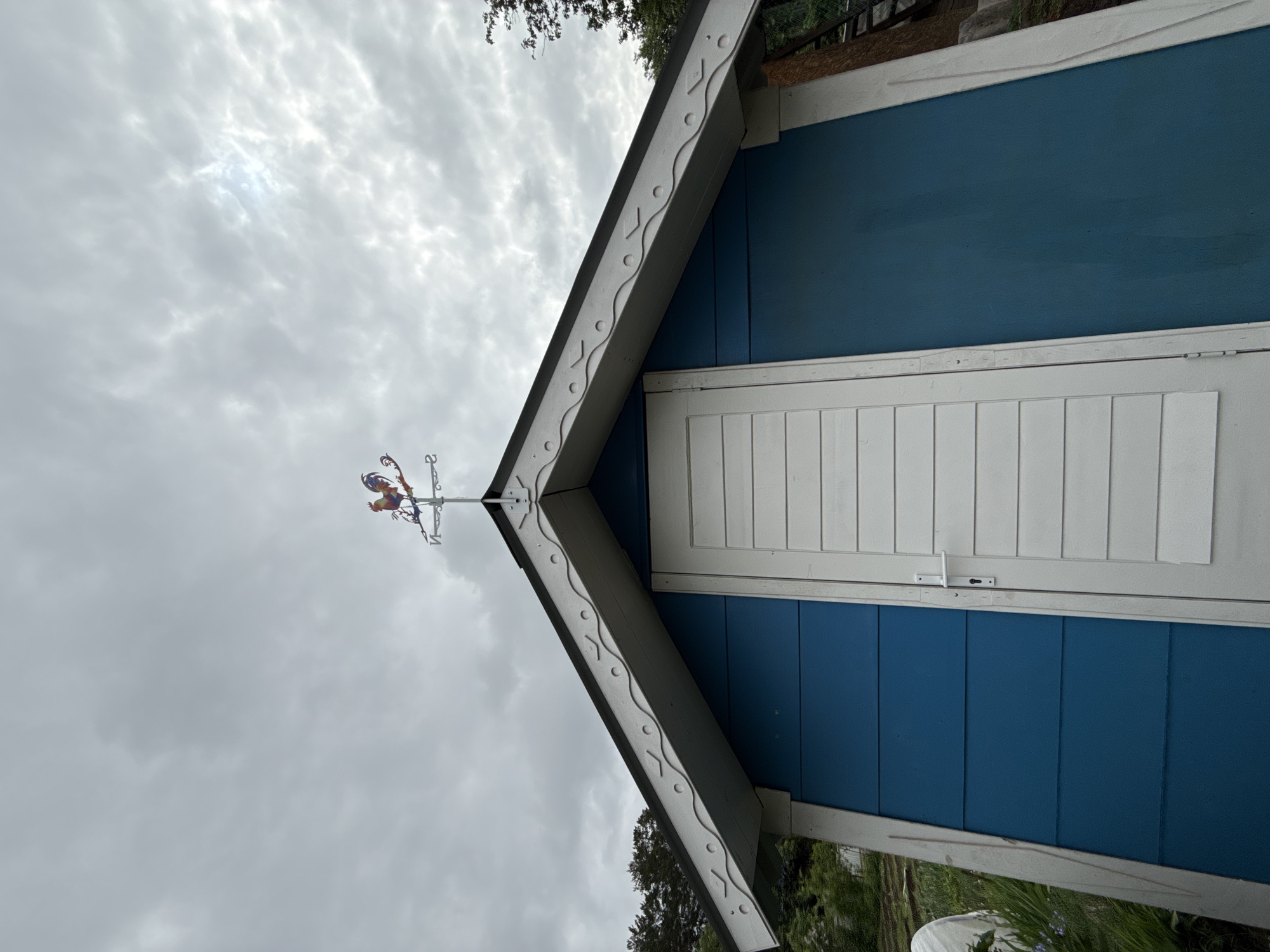 A low-angle, close-up shot shows the gable end of a blue and white wooden structure, possibly a shed or small outbuilding, beneath an overcast sky. A weather vane with a rooster figure sits atop the peak of the gable. The gable trim is white with decorative cutouts. The wall of the structure is divided horizontally into blue and white sections, with the lower section being blue and the upper section containing a white door with vertical paneling and a simple latch. The structure is surrounded by greenery. The location, Chaikovsky, Russia is not possible to confirm or deny.