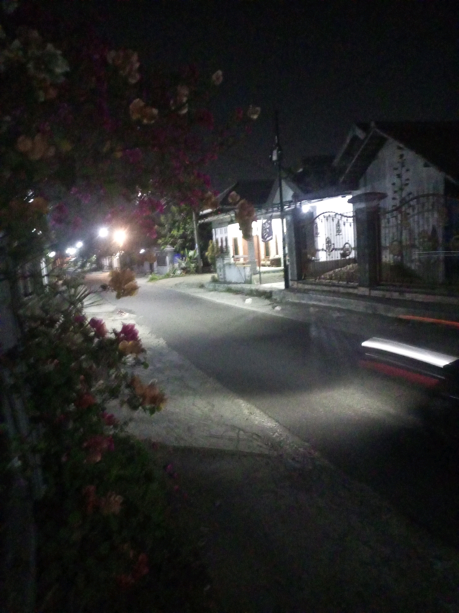 The image depicts a street scene at night in Ngasem, Indonesia, characterized by low light conditions and a blurred aesthetic. On the left side of the frame, a dense cluster of flowering plants, likely bougainvillea, with pink and orange blossoms, creates a natural foreground. The street itself is paved and appears to be a residential road, with houses and fences visible on the right side. Streetlights are illuminated along the road, casting a yellowish glow and illuminating sections of the pavement. A vehicle, only partially visible and appearing as a streak of light and a hint of red, is in motion on the right side of the road, suggesting movement and a potential long exposure. The overall atmosphere is tranquil and somewhat mysterious due to the nighttime setting and the limited visibility.
