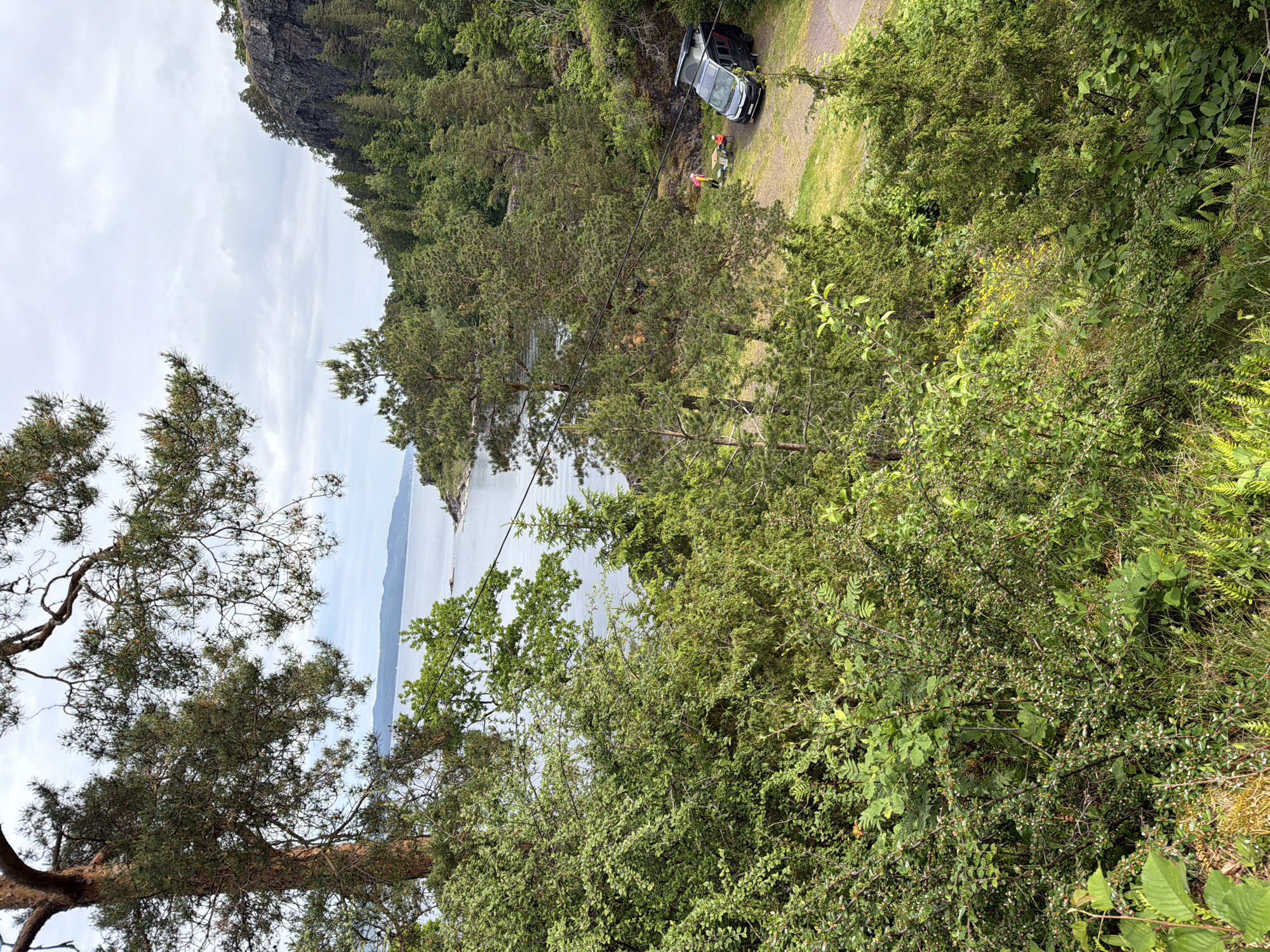 This image presents a coastal landscape consistent with the Oslofjord region, near Horten, Norway, viewed from an elevated, densely vegetated perspective.
The foreground is characterized by a thick canopy of various green trees and undergrowth. A large conifer tree trunk is prominent on the left, with its branches extending across the upper left quadrant. Smaller conifer trees, dense shrubs with small leaves, and ground foliage including ferns, occupy the lower and central foreground. Black power lines or cables are visible spanning horizontally through the mid-ground, partially interwoven with the tree branches.
In the mid-ground, a body of water, likely the Oslofjord, stretches towards the horizon, flanked by distant, forested landmasses and a cloudy, overcast sky. On the right side, a substantial rocky cliff face, partially covered with trees on its upper reaches and slopes, forms a prominent geological feature.
At the lower right quadrant of the image, below the primary tree line, a dark gray camper van with a raised pop-top roof is parked on a dirt or gravel area. Adjacent to the van, a small outdoor table is positioned. Two individuals are present: one person, wearing a bright pink/orange top and a yellow safety vest, stands near the table, while a second, smaller individual, possibly a child, is seated at the table. They appear to be engaged in an outdoor activity or meal next to the parked vehicle. The immediate ground around the camper van consists of a dirt path transitioning to grassy patches.