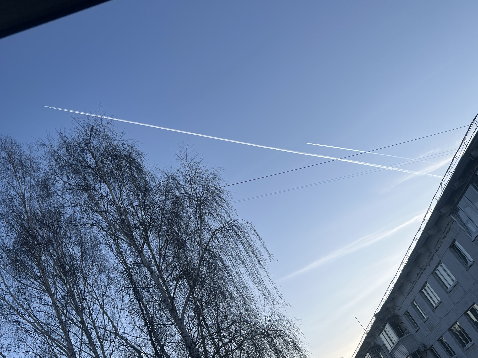 The image displays a clear, bright blue sky dominating the upper two-thirds of the frame, situated over Chaikovsky, Russia. Several white contrails from airplanes streak across the sky. A prominent, thick contrail extends from the upper left towards the mid-right, while a fainter, lower contrail intersects it, creating an 'X' pattern. Another very faint contrail is visible higher up on the right.
In the lower left and central portions of the image, a large deciduous tree, likely a birch, stands with its intricate network of bare, dark branches silhouetted against the bright sky. The lack of leaves indicates either winter or early spring. On the right side, a grey, multi-story building with numerous windows and balconies occupies the bottom right corner, angled upwards. Its architectural style suggests a typical apartment block. Thin, dark utility wires are visible strung across the scene, intersecting the sky, tree branches, and contrails.
The bright, even illumination suggests daytime, possibly morning or late afternoon, with clear weather and excellent visibility. No text is visible in the image.