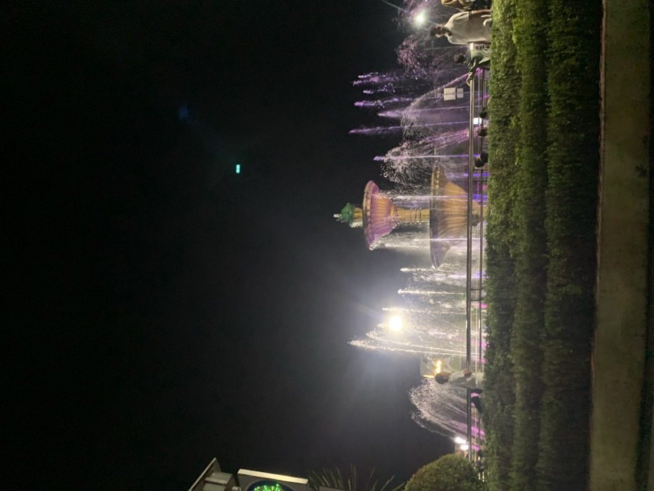 The image shows a fountain in Probolinggo, Indonesia, at night. The fountain is illuminated with colored lights, casting a purple hue on the water. There are several people standing around the fountain, observing the water display. There are some bushes in the foreground. The sky is dark and clear. The scene is lit by the fountain and streetlights. The location, based on the provided coordinates, is near Alun-alun Kota Probolinggo, a public square in the city center.