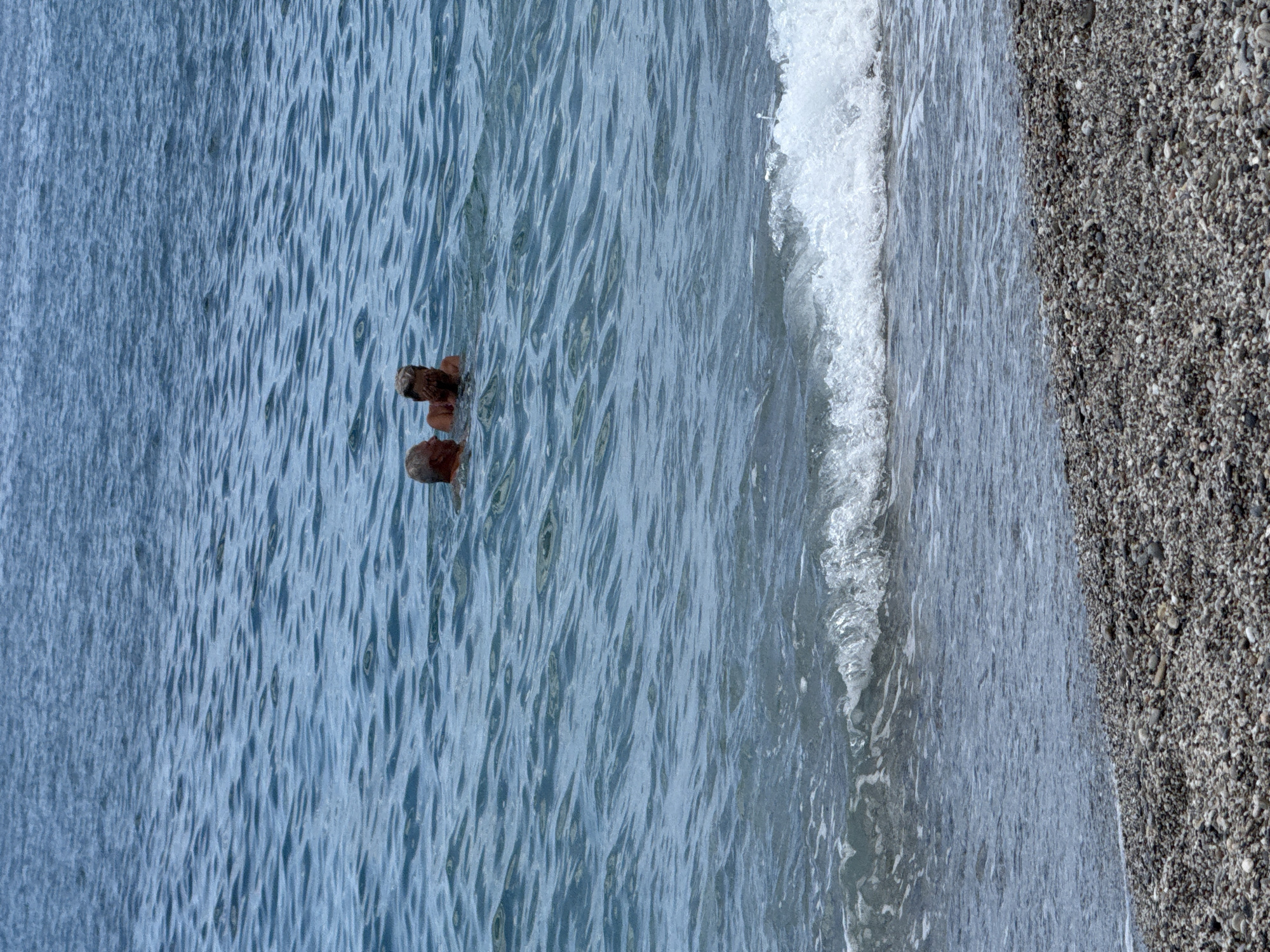 Two individuals are partially submerged in the sea off a beach in Unknown, Unknown. Their heads and shoulders are visible above the water, which is characterized by gentle waves. The beach is composed of pebbles and stones.