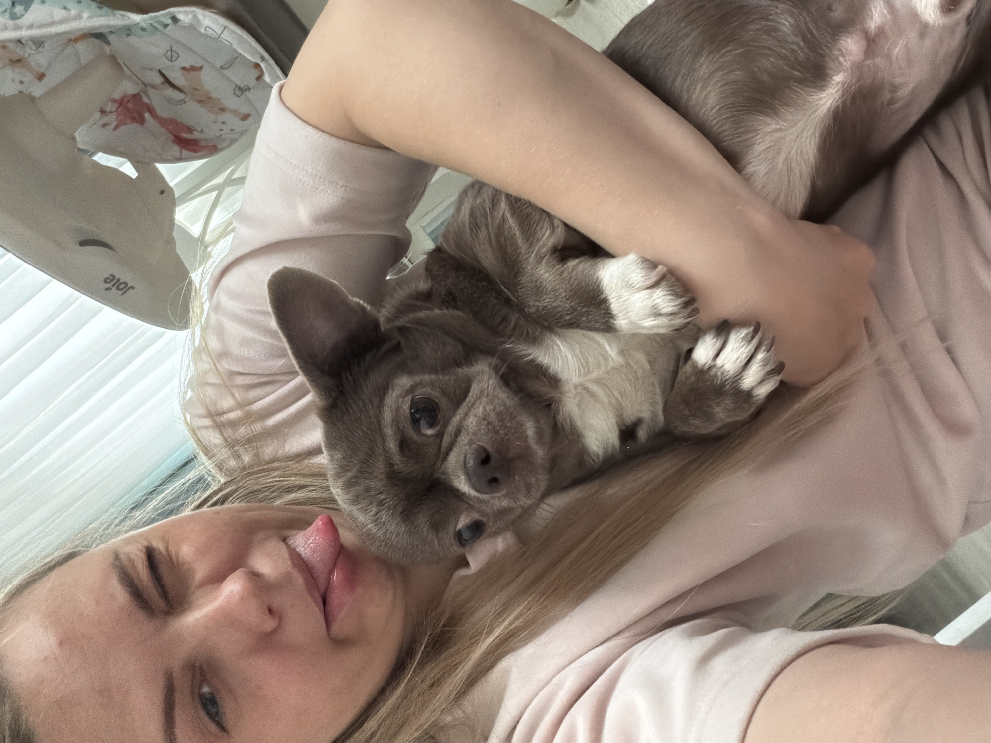 An overhead selfie captures a person playfully interacting with a small dog in a brightly lit indoor setting. The person, with blonde hair, is on the left side of the frame, winking with their left eye and sticking out their tongue, conveying a lighthearted and humorous mood. They are wearing a light pink top and have their arm wrapped around a small, greyish-brown dog, which is nestled closely against their chest and neck. The dog, likely a French Bulldog or similar breed, has dark, attentive eyes and some white fur on its chest and paws, looking directly at the camera.
In the upper left corner, part of a white baby bouncer or rocker is visible, featuring a light-colored fabric insert adorned with simple patterns. The brand name "Joie" is visible in black text, printed upside down, on the side of the bouncer. Glimpses of white window blinds or shutters can be seen in the background, indicating natural daylight. The image portrays a moment of affectionate interaction and playfulness between the person and their pet in a casual, domestic environment.