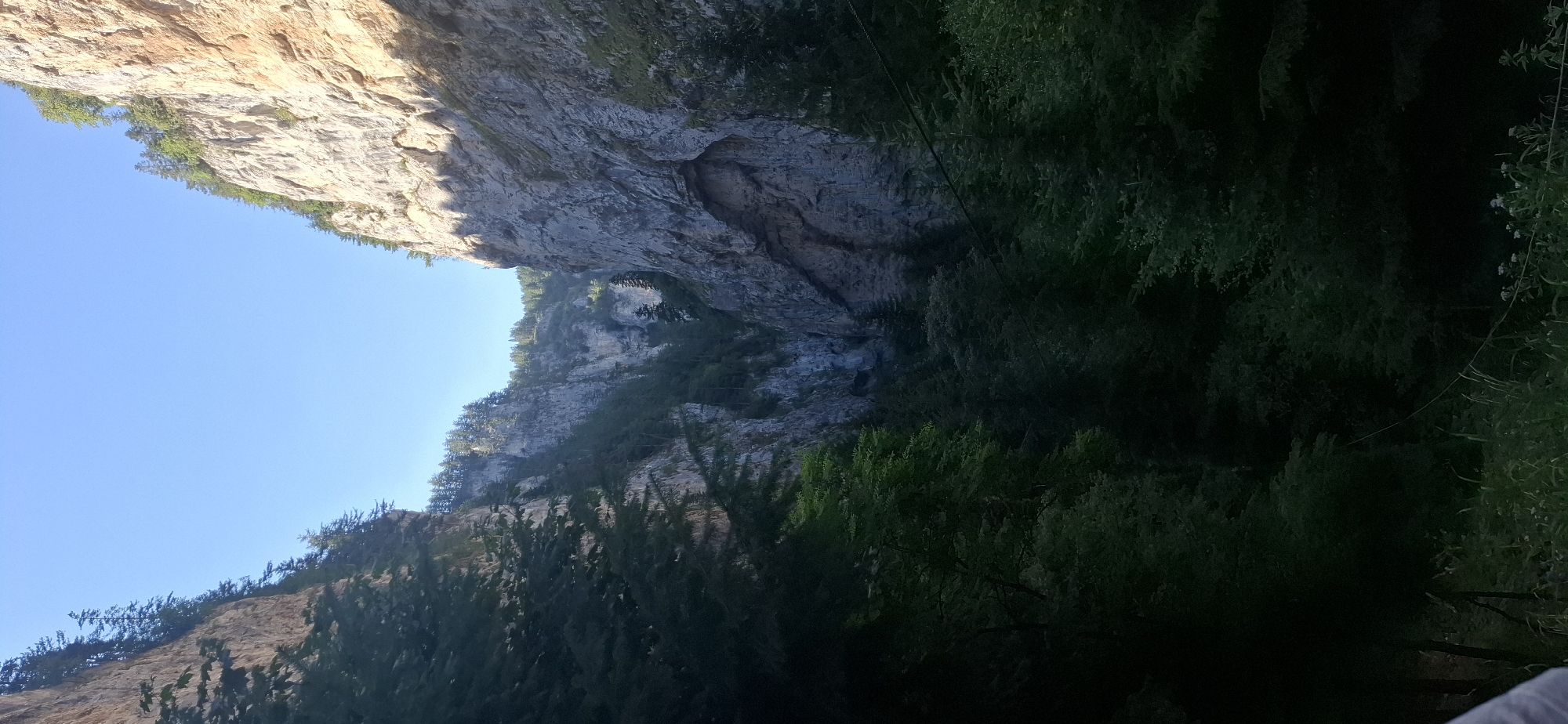 The image depicts a view into a deep gorge, characterized by towering, rocky cliffs on either side. Lush green trees and vegetation cover the lower slopes and the floor of the gorge, while sparser trees cling to the upper edges of the cliffs. The sky above is clear and blue, with the sun casting shadows that highlight the rugged texture of the rock faces. The overall impression is one of natural grandeur and a sense of depth. This scene is consistent with the landscape of the Trigrad Gorge in Trigrad, Bulgaria, known for its dramatic cliffs and karst formations. No people or specific actions are visible in the image.