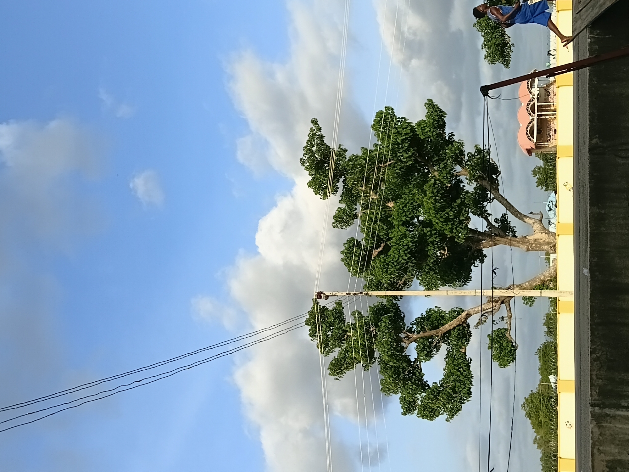 A person is running along a road in Jalingo, Nigeria. The person is wearing a blue shirt and blue shorts. The person is running on a wooden ramp. The road is lined with a yellow wall. Behind the yellow wall are trees and buildings. The sky is blue with some clouds. There are power lines running across the sky. There is a large tree in the foreground of the image. The tree is tall and has many branches. The leaves of the tree are green. The sky is a bright blue with some white clouds scattered across it. The overall scene is one of a sunny day in a Nigerian city.