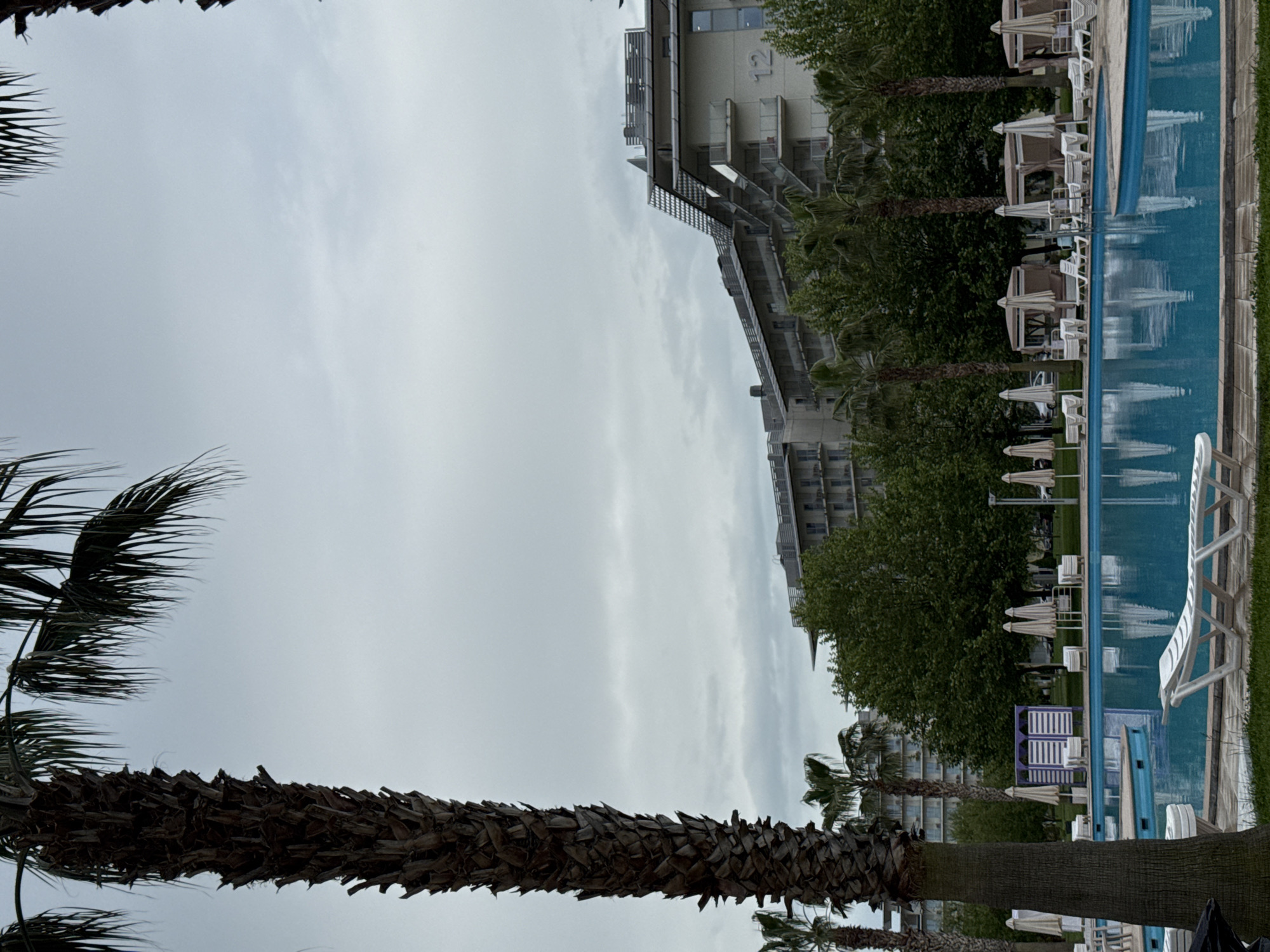 The image depicts a pool area next to a building, possibly a hotel, in Sochi, Russia. A swimming pool fills the right side of the image, with lounge chairs and umbrellas lining the pool edge. The building is adjacent to the pool, with trees and palm trees interspersed throughout the scene. The sky is overcast, suggesting a cloudy day.