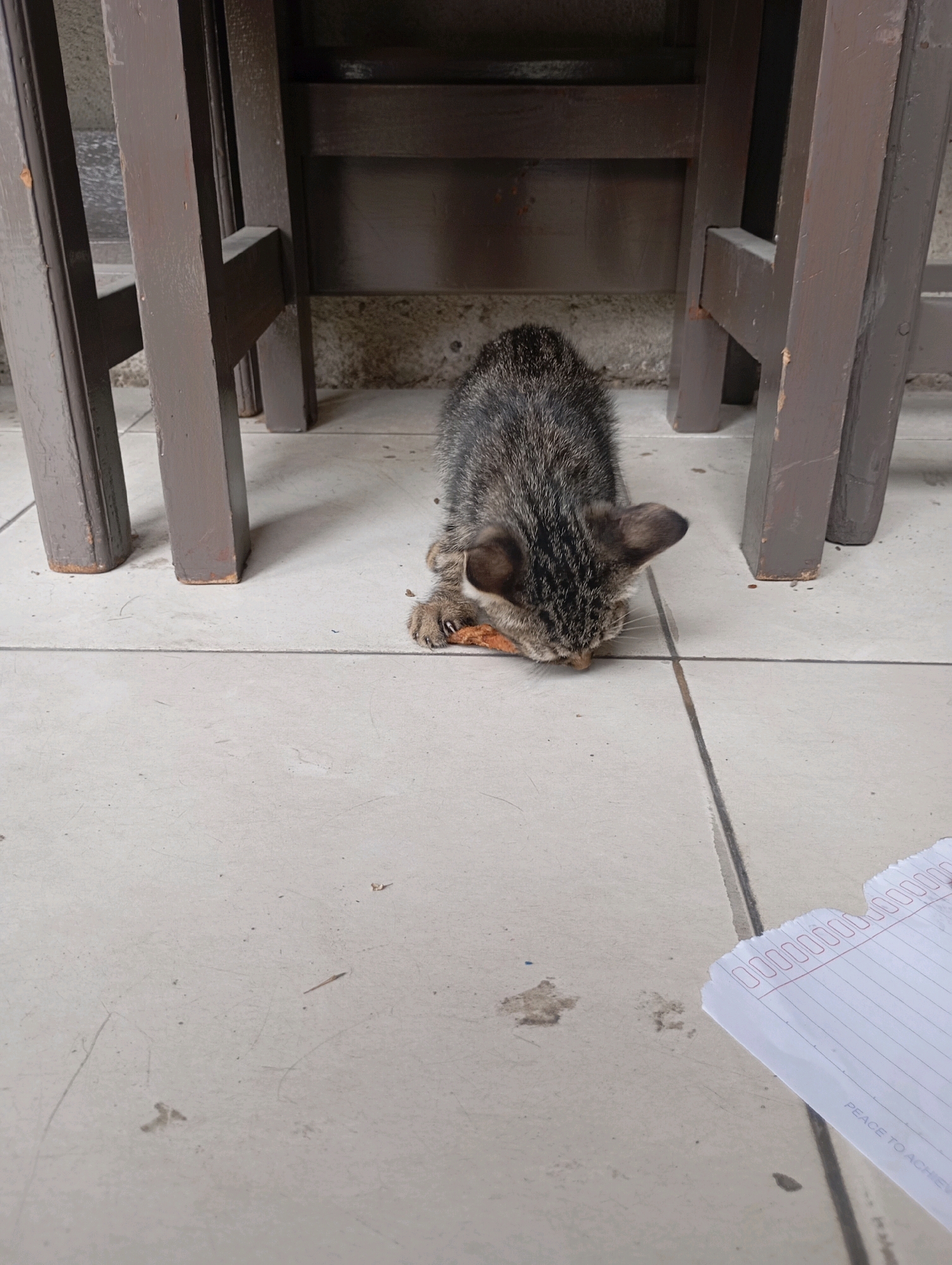 A tabby kitten is eating a piece of food on a tiled floor, partially obscured by the legs of a wooden bench or table. The kitten's head is down, focused on its meal, and its paws are visible, holding the food. The floor is light-colored tile with visible grout lines. In the lower right corner, a torn piece of lined paper is visible. The scene appears to be outdoors or in a covered outdoor space, given the lighting and the presence of what looks like concrete or stone wall in the background.