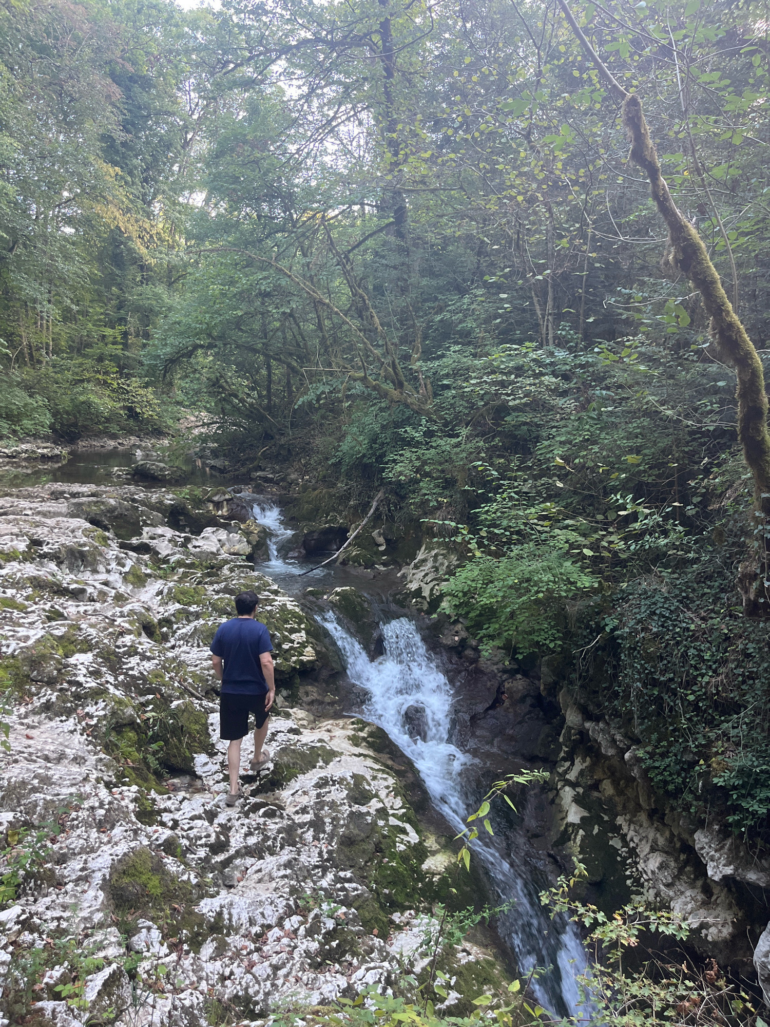 A person walks along a rocky streambed in a forest. The person is wearing a dark blue t-shirt and black shorts. The streambed is composed of light-colored rocks with patches of moss. A small waterfall cascades down the rocks on the right side of the frame. The surrounding environment is lush with green trees and foliage, with the forest canopy overhead. The lighting suggests it is daytime, possibly overcast or early morning/late afternoon. This scene is located in Ferrières, Switzerland.