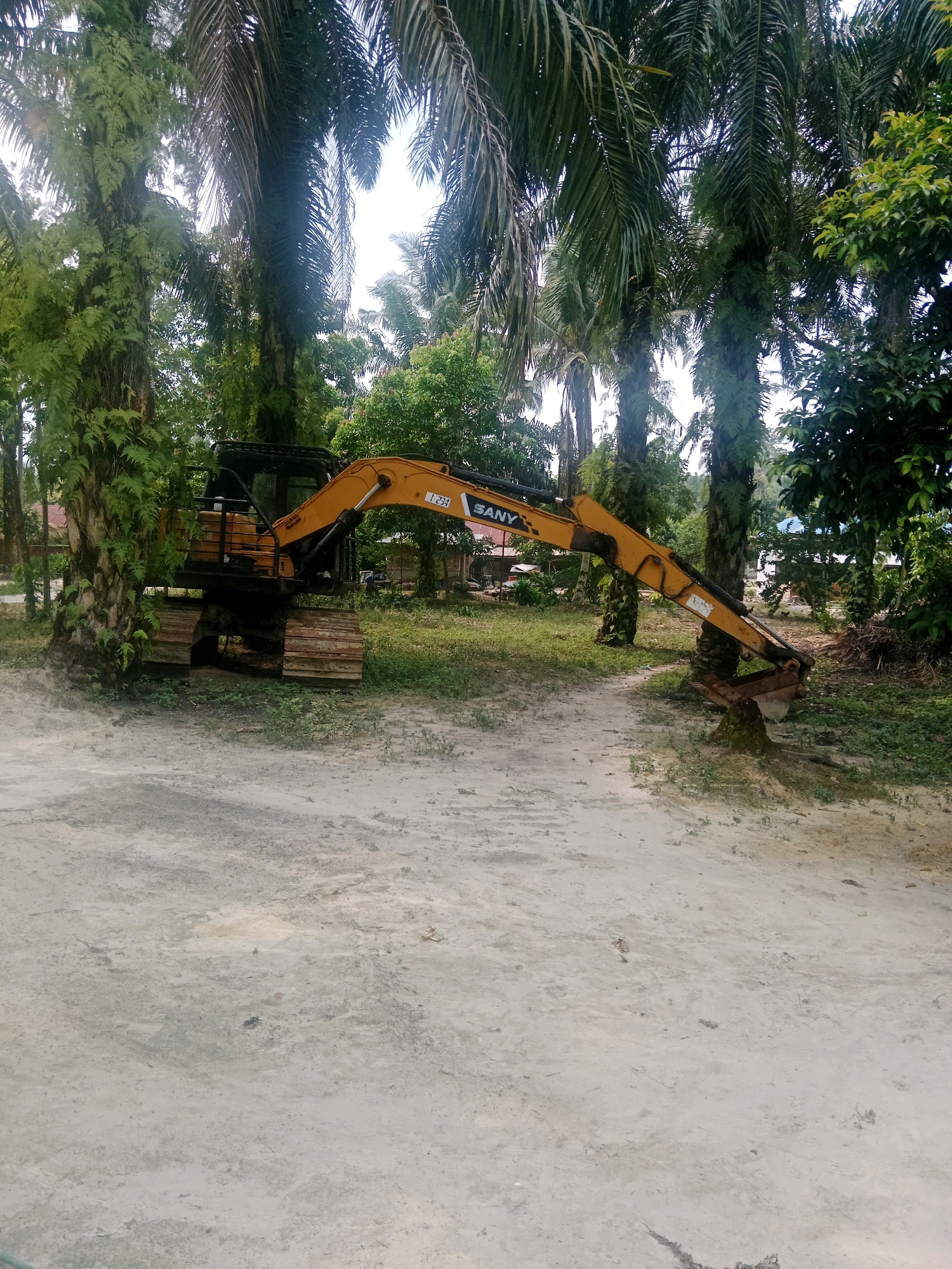 An excavator with the brand name "SANY" is parked on a dirt path surrounded by palm trees and lush vegetation. The excavator is yellow and black and has a long arm extended to the ground. The tracks of the excavator are visible, appearing weathered and rusty. In the background, several houses with blue roofs can be seen through the trees, suggesting the location is in a rural or semi-rural area. The ground in the foreground is a light-colored, sandy dirt path. The overall scene depicts an excavator in a tropical environment, likely in Rantau Bertuah, Indonesia, where such machinery might be used for land clearing or construction. There are no people visible in the image.