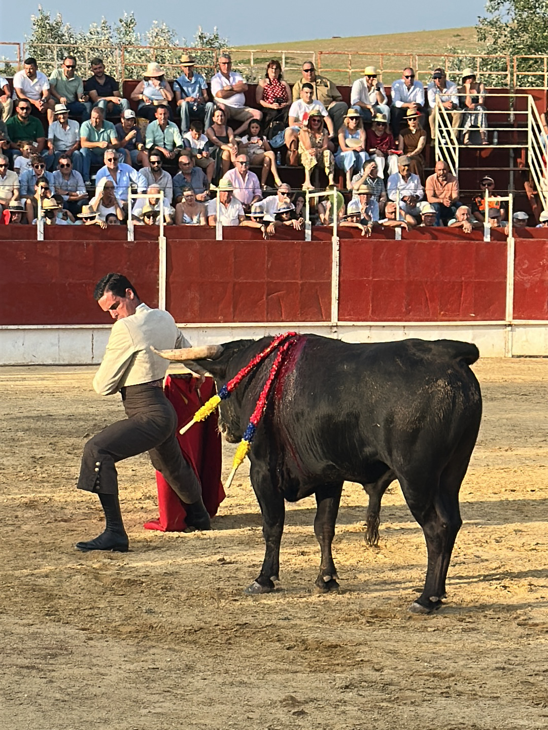 The image captures a bullfight in progress, likely in the city of San José del Valle, Spain. A matador, dressed in traditional attire with a beige top and dark pants, is engaged with a black bull. The bull has decorative banderillas attached to its back. A red cape is partially visible. They are in a sandy arena enclosed by a red barrier, behind which spectators are seated on tiered rows. The sky is bright, indicating it is daytime.
