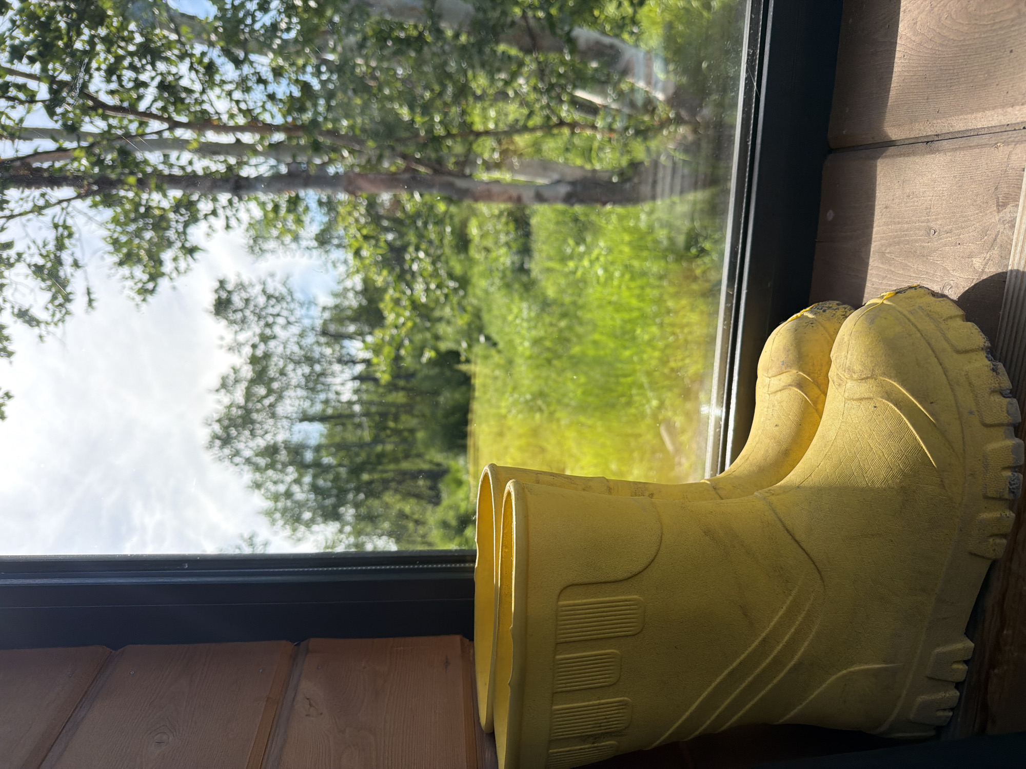 A pair of yellow rubber boots is positioned on a wooden surface near a window. The boots are facing forward and are slightly angled. Outside the window, a lush green landscape is visible, with trees and foliage under a cloudy sky. The image appears to be taken indoors, looking out. The location is in the city of Novy, Russia.