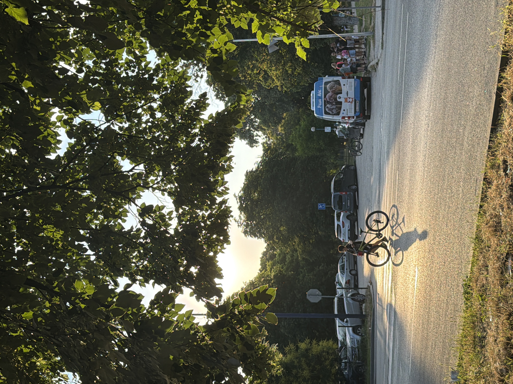 This is a street-level, eye-level photograph taken outdoors in Pazardzhik, Bulgaria, during daylight. The scene captures a paved road with a pedestrian crossing marked by white stripes. A young person, likely a child, is walking across the road while pushing a bicycle. The bicycle is black and has a red front brake lever. The child is wearing dark clothing. The sun is low in the sky, casting long shadows on the road and illuminating the scene with a warm, golden light.
To the left of the road, a parking lot is visible, filled with several cars, including a silver SUV and a white sedan. A dark grey van is also parked. A tall blue pole stands near the parking lot. Further back, a dense line of trees forms a natural backdrop.
On the right side of the road, an ice cream van is parked, its back doors open, displaying images of ice cream cones. A group of people, including adults and children, are gathered near the van. Some are standing and talking, while others appear to be waiting in line. Another van is parked behind the ice cream truck. The scene is framed by the lush green foliage of trees overhead, with sunlight filtering through the leaves, creating dappled light patterns.