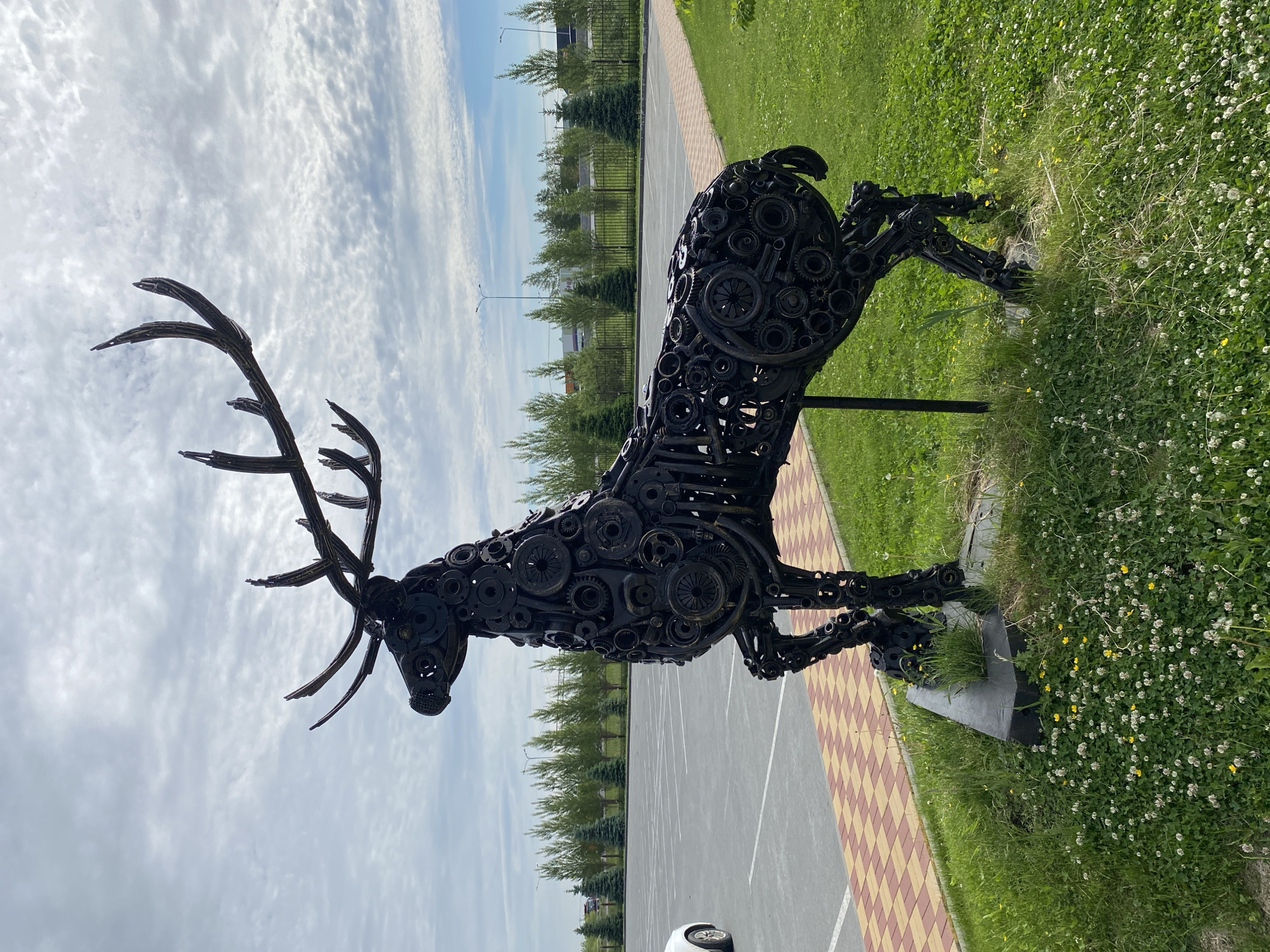 The main subject of the image is a large, dark metal sculpture of a stag, depicted standing upright and looking towards the right side of the frame. The sculpture is intricately crafted from various recycled mechanical components such as gears, cogs, and chains, lending it a robust, industrial aesthetic. The stag features an impressive set of multi-tined antlers.
It is positioned outdoors on a patch of vibrant green grass, which is liberally interspersed with small white clover flowers and a few yellow wildflowers. To the right of the sculpture, a checkered pattern sidewalk, composed of brown, orange, and light-colored pavers, separates the grassy area from a wide asphalt surface. This asphalt area appears to be a parking lot or a road, with faint white line markings visible. A glimpse of a white car is visible on the asphalt in the lower part of the original image.
In the background, a dark metal fence runs parallel to the sidewalk, and behind it, a neat row of evergreen trees provides a green backdrop against the horizon. The sky is partially cloudy, with scattered white clouds against a light blue expanse, indicating a bright daytime setting, likely during pleasant weather.
This scene showcases a piece of impressive public art in an outdoor urban or semi-urban environment. The location is contextualized as Tyumen, Russia. There are no people visible, nor any discernible text. No specific activity is taking place; it's a static depiction of the sculpture and its surroundings.