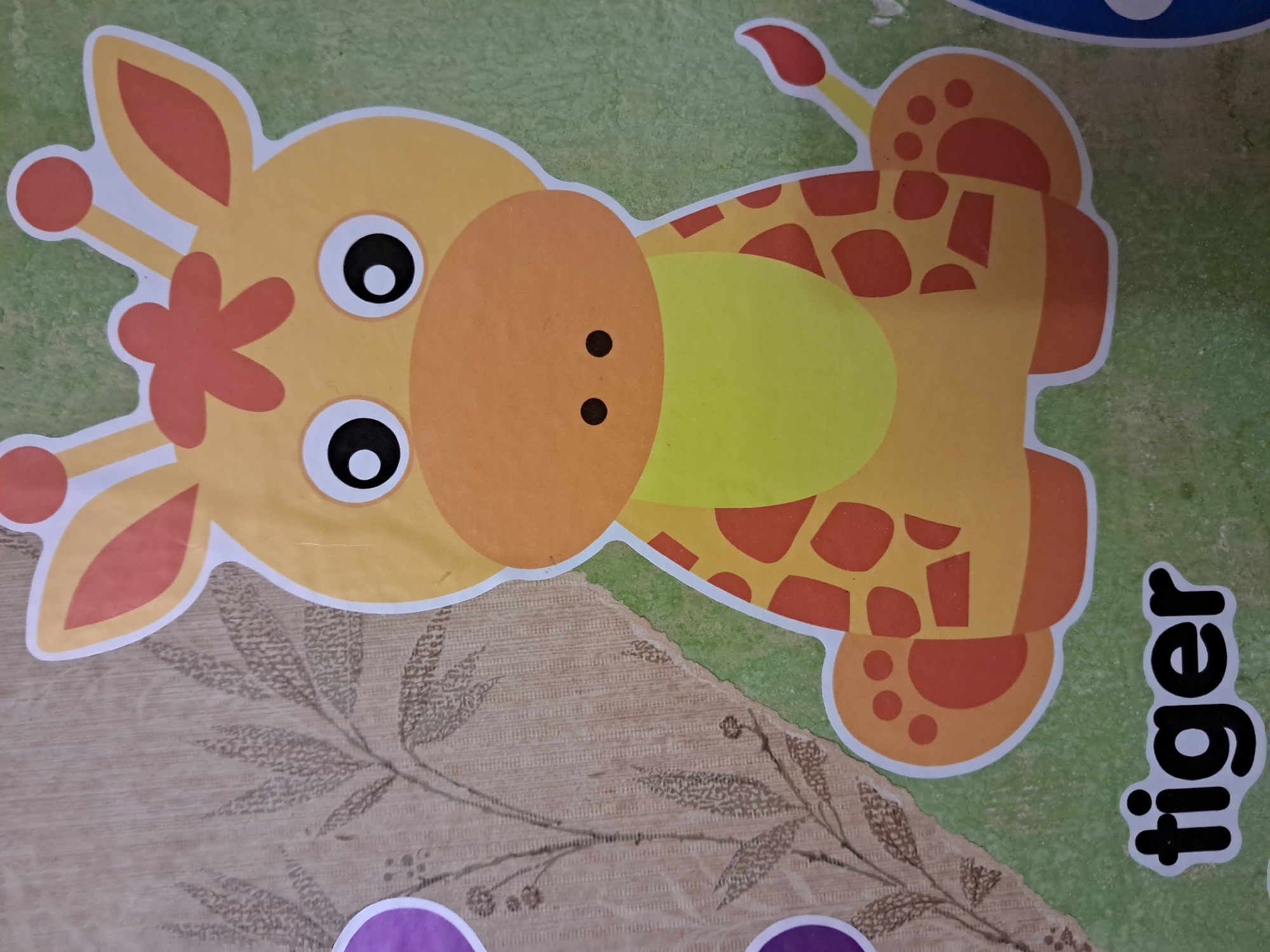 A cartoon giraffe cutout is centered in the frame against a light green background. The giraffe is yellow with orange spots, a light orange face, and large, round black and white eyes. It has two small black dots for nostrils and two orange antennae with red tips on its head. The giraffe is sitting down, with its front paws visible and outlined in orange with smaller orange circles indicating toes. The lower part of the giraffe's body and tail are also visible. To the left of the giraffe, a tan background with a faint brown floral pattern is visible. A purple circle cutout is partially visible on the far left of the tan background. Below the giraffe, the word "tiger" is printed in black, blocky letters with a white outline on the green background.