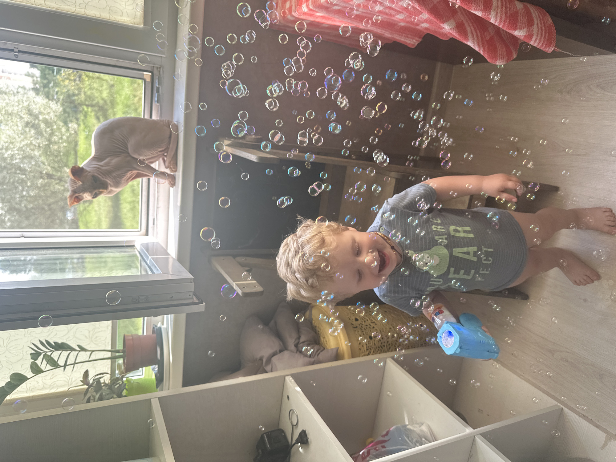 A toddler with blond hair, wearing a gray t-shirt, is joyfully playing with a blue bubble gun, creating numerous iridescent bubbles. The child is barefoot and standing on a light-colored wooden floor. To the left of the child is a white shelving unit with items on its shelves. In the background, a Sphynx cat is sitting on a windowsill, looking out a window that offers a view of greenery. The room appears to be a domestic setting, possibly an apartment, with a laundry basket and a towel visible. The scene is illuminated by natural light streaming in through the window. The location is not specifically identifiable as Maladzyechna, Belarus, from the visual information provided.