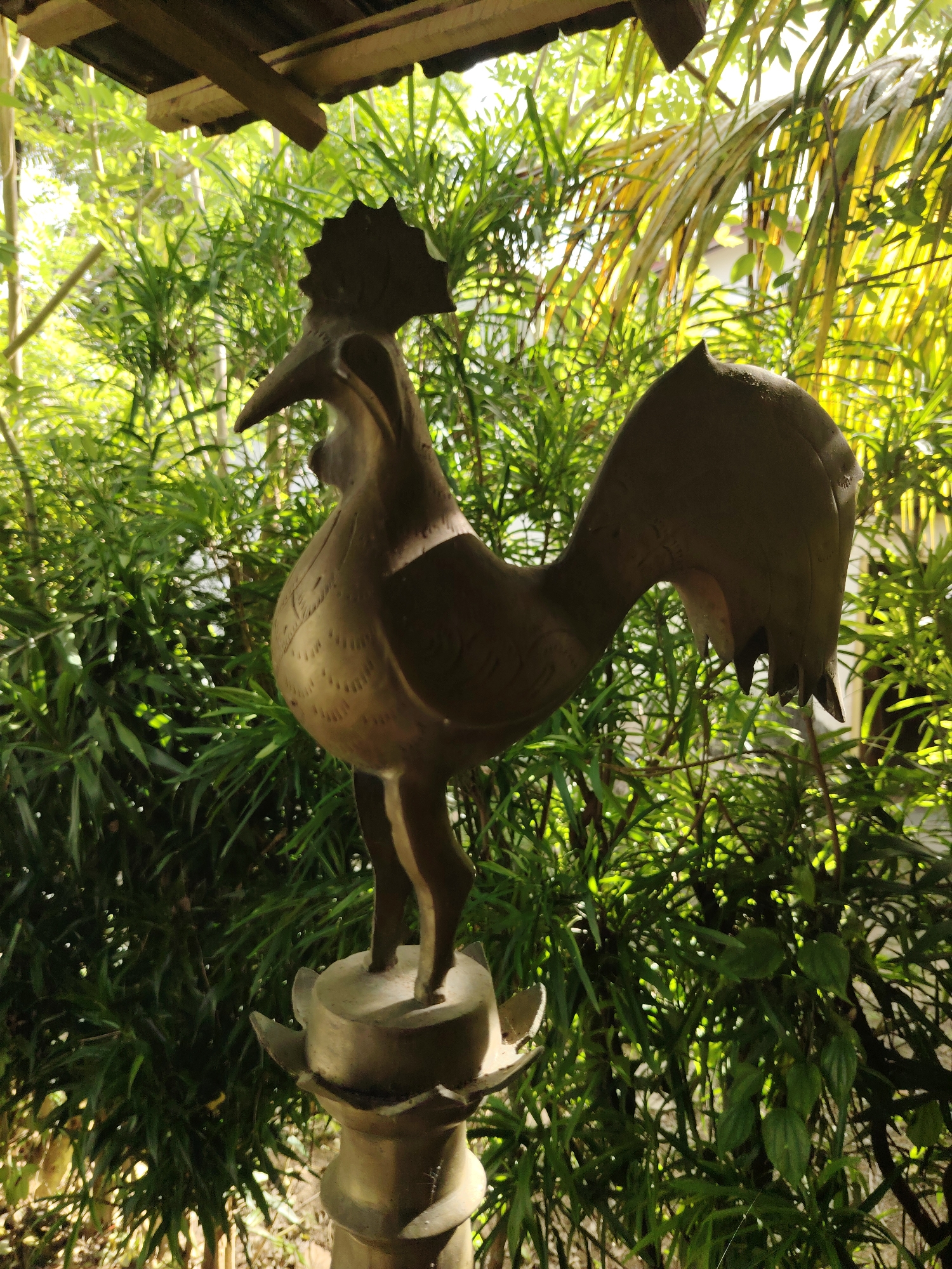 The image displays a prominent, dark-colored rooster statue positioned in what appears to be an outdoor or semi-sheltered garden setting. The rooster, possibly made of metal or stone with a bronze-like finish, stands erect on a decorative, ornate pedestal, its legs merging into the base. It features a distinct comb, wattle, a pointed beak, and intricate, embossed feather details visible on its chest and body. Its tail is fanned out, creating a silhouette against the bright background.
The background is dominated by lush, dense green foliage, likely tall leafy plants or bamboo, which creates a vibrant, natural backdrop. Bright sunlight filters through the leaves, casting strong highlights and shadows, indicating a sunny daytime scene, possibly morning or late afternoon. Some of the leaves in the background appear to be lighter green or yellowish where the sun hits them directly. Above the statue, wooden beams and a part of a roof structure are visible, suggesting an overhang or a covered area.
There is no discernible activity taking place, as the primary subject is a static sculpture. No people are visible. The overall mood is peaceful and natural, emphasizing the artistic object within its verdant surroundings. There is no visible text in the image.