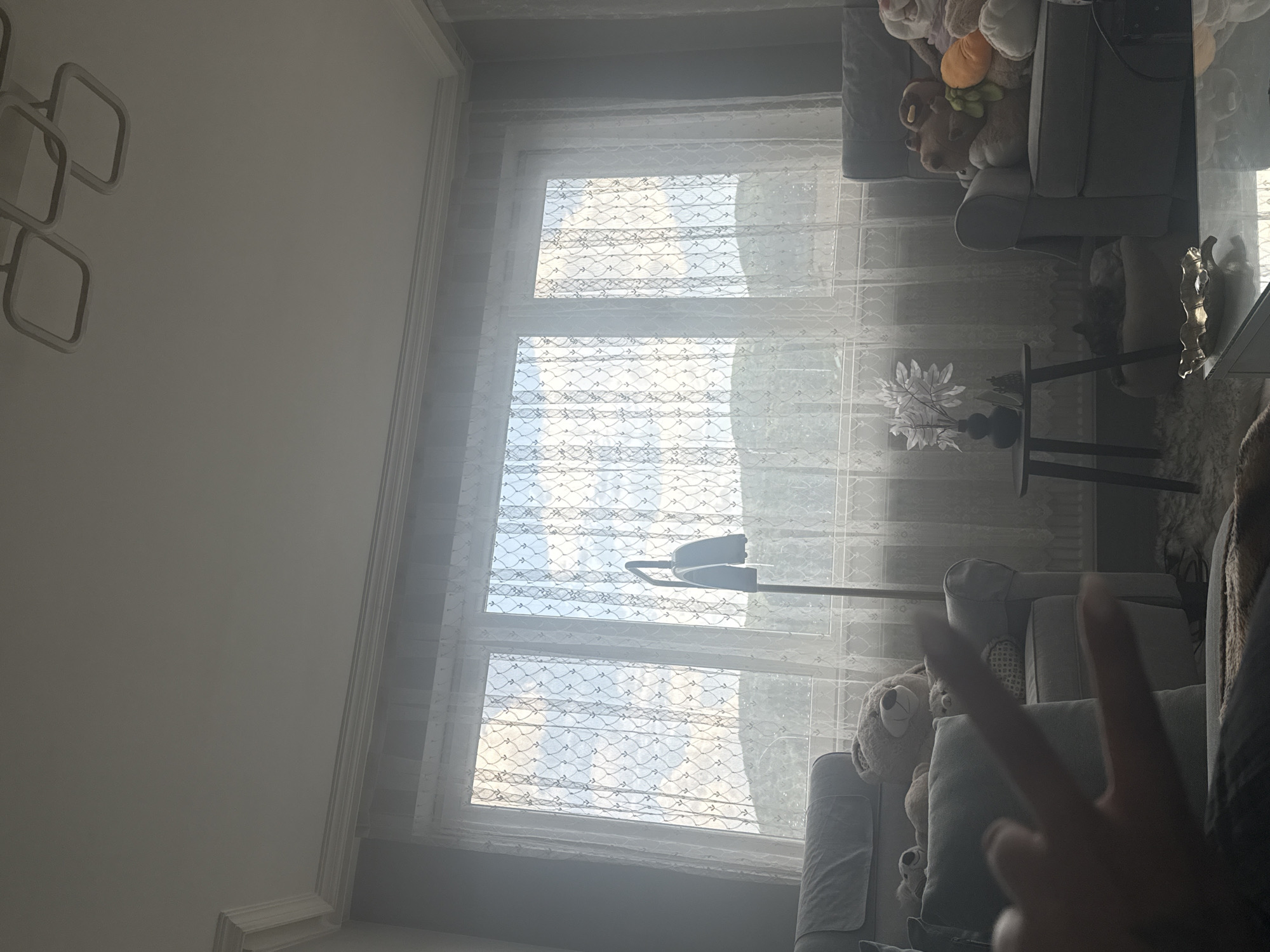 The image depicts an interior scene likely in a home in Asenovgrad, Bulgaria. A large window covers much of the background, with sheer, patterned curtains partially obscuring the view outside. Three windowpanes are visible, revealing a sky filled with clouds. In front of the window, there are two gray armchairs filled with stuffed animals. A black side table sits beside the armchairs, topped with a vase of white flowers. A person's hand, making a peace sign, is in the foreground. The walls and ceiling are painted white. A modern light fixture is visible on the ceiling.