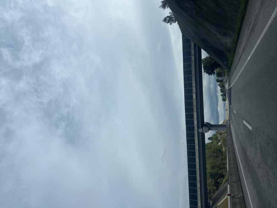 The scene depicts a two-lane asphalt highway in Noura e Palheiros, Portugal, viewed from a forward perspective. A concrete overpass featuring dark sound barriers with green top trim spans the highway, supported by a central concrete pillar. A "5.00 m" clearance sign is affixed to the underside of the overpass structure. The road surface appears damp, marked by a solid white line on the left and a dashed white line for the right lane. A concrete barrier parallels the left side of the highway, bordering a steep, densely tree-covered hillside. On the right, a dark, rocky embankment rises abruptly from the roadside, topped by scattered green vegetation. The sky is uniformly overcast with grey cloud formations. No individuals or active vehicles are present in the observable area.