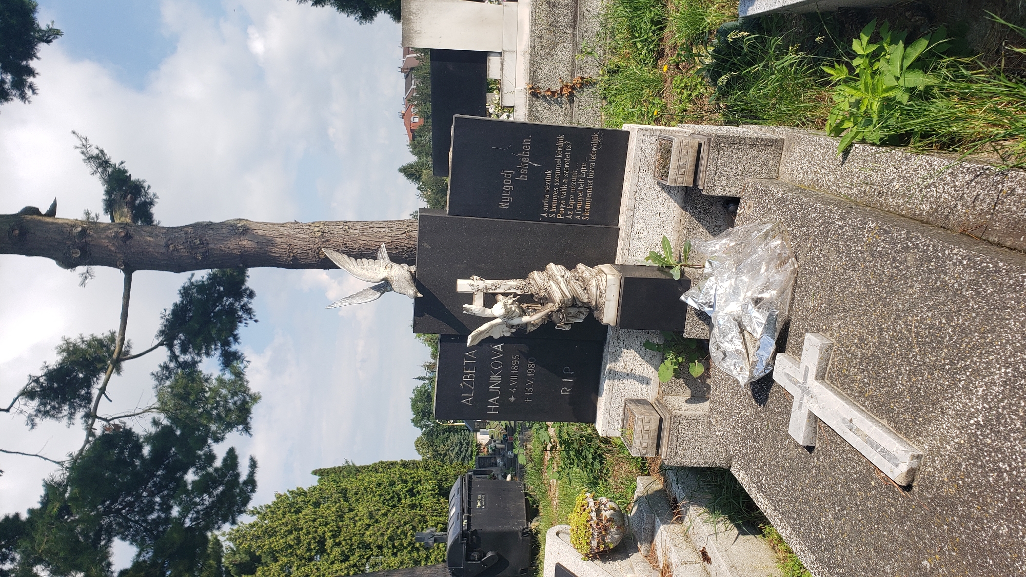 This is a photograph of a grave marker in a cemetery. The marker is made of dark granite and is inscribed with names and dates. There is also a sculpture of an angel and a bird on the marker. In front of the marker is a cross made of light-colored stone, and a pile of what appears to be crumpled aluminum foil. The ground around the grave is covered in grass and weeds. In the background, there are trees and other grave markers. The sky is blue with some clouds. The photograph is taken on a sunny day. This appears to be a cemetery in Prešov, Slovakia.