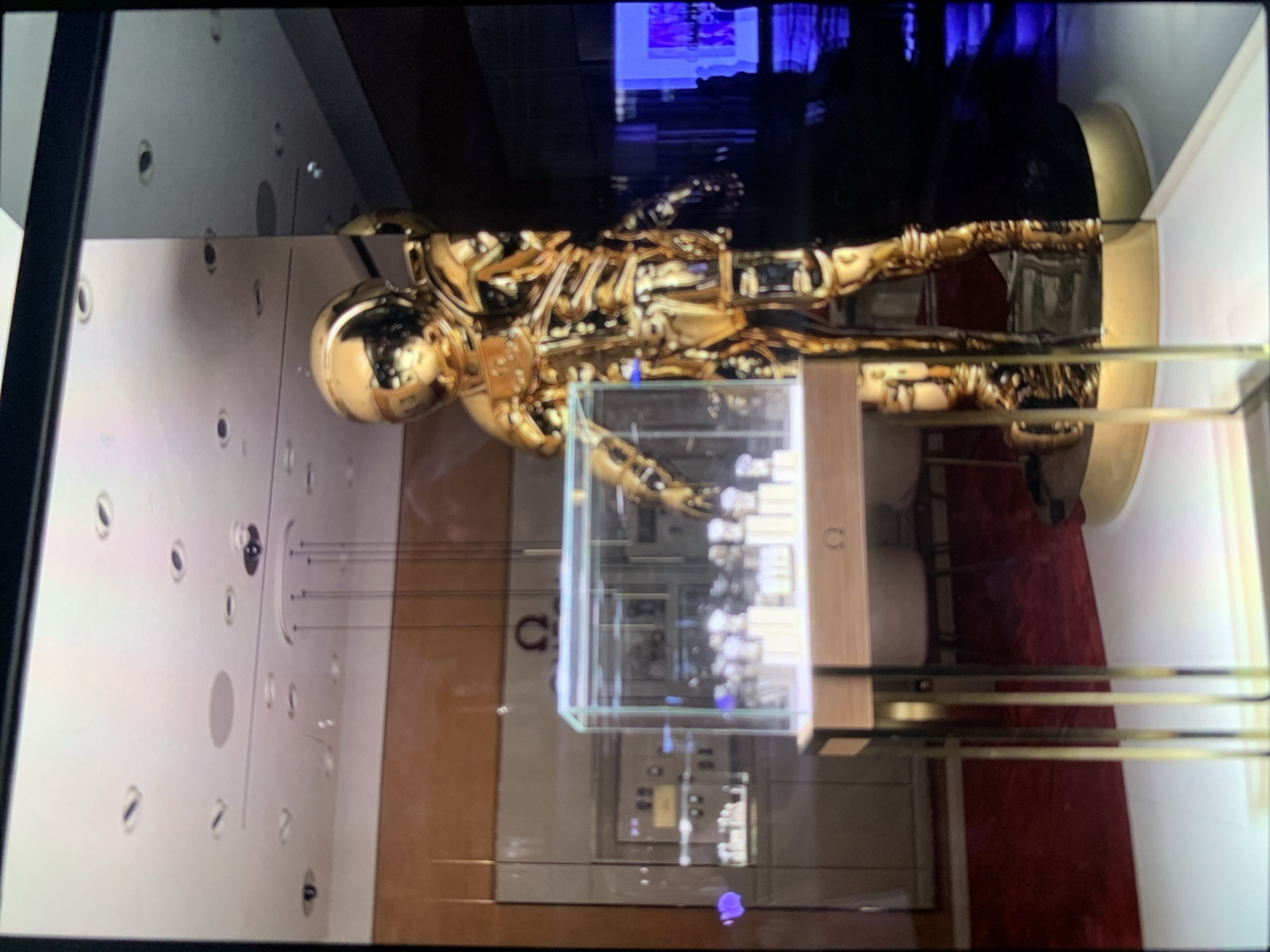 A horizontal image shows a display case featuring a golden astronaut figure. The figure lies on its back atop a circular base, oriented toward the upper portion of the image, and enclosed in a glass case. The figure, and the glass case are enclosed in a larger structure. The image is taken from a slightly low angle. The location is unknown.